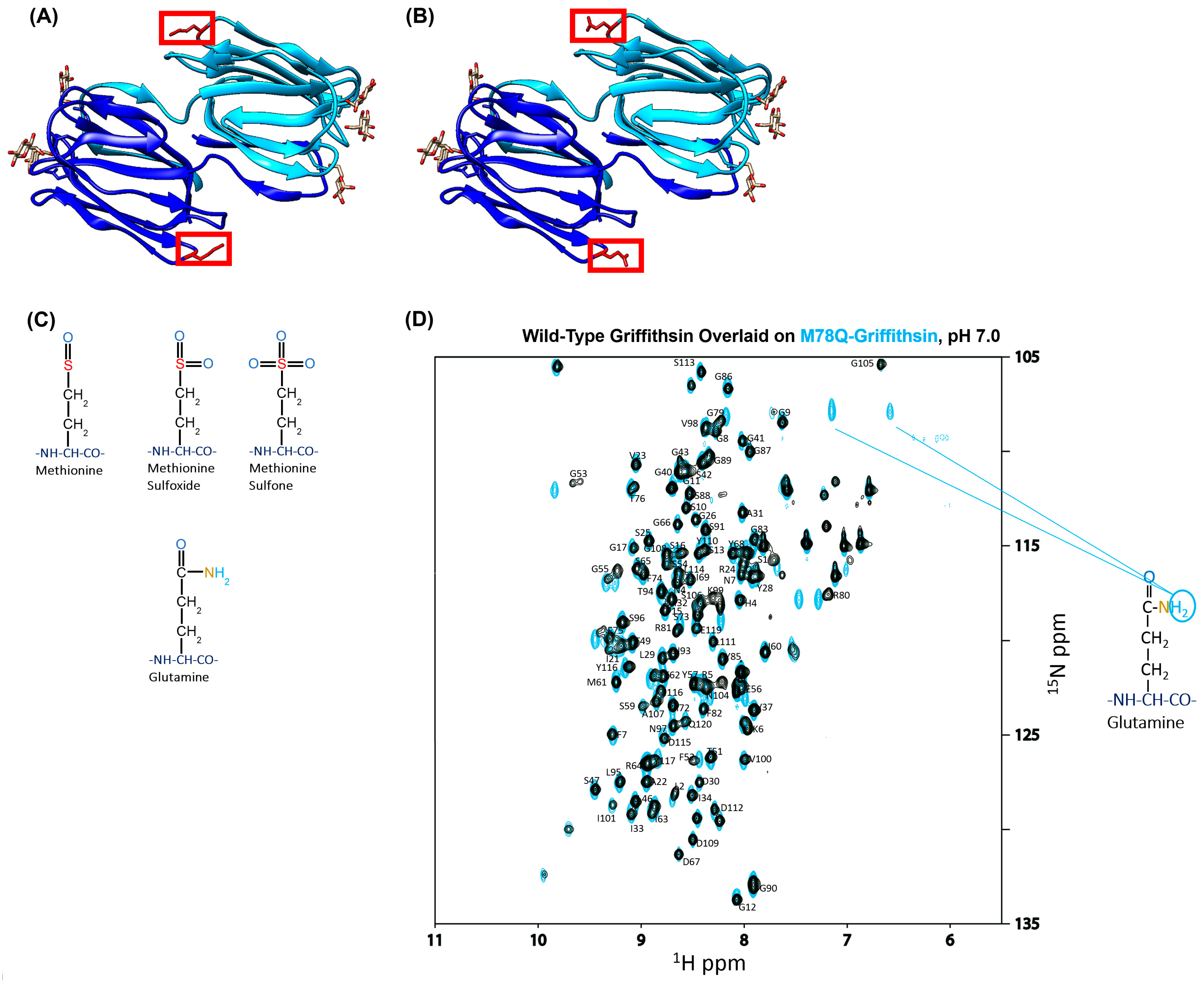 Viruses 15 02452 g001 Viruses 15 02452 g001