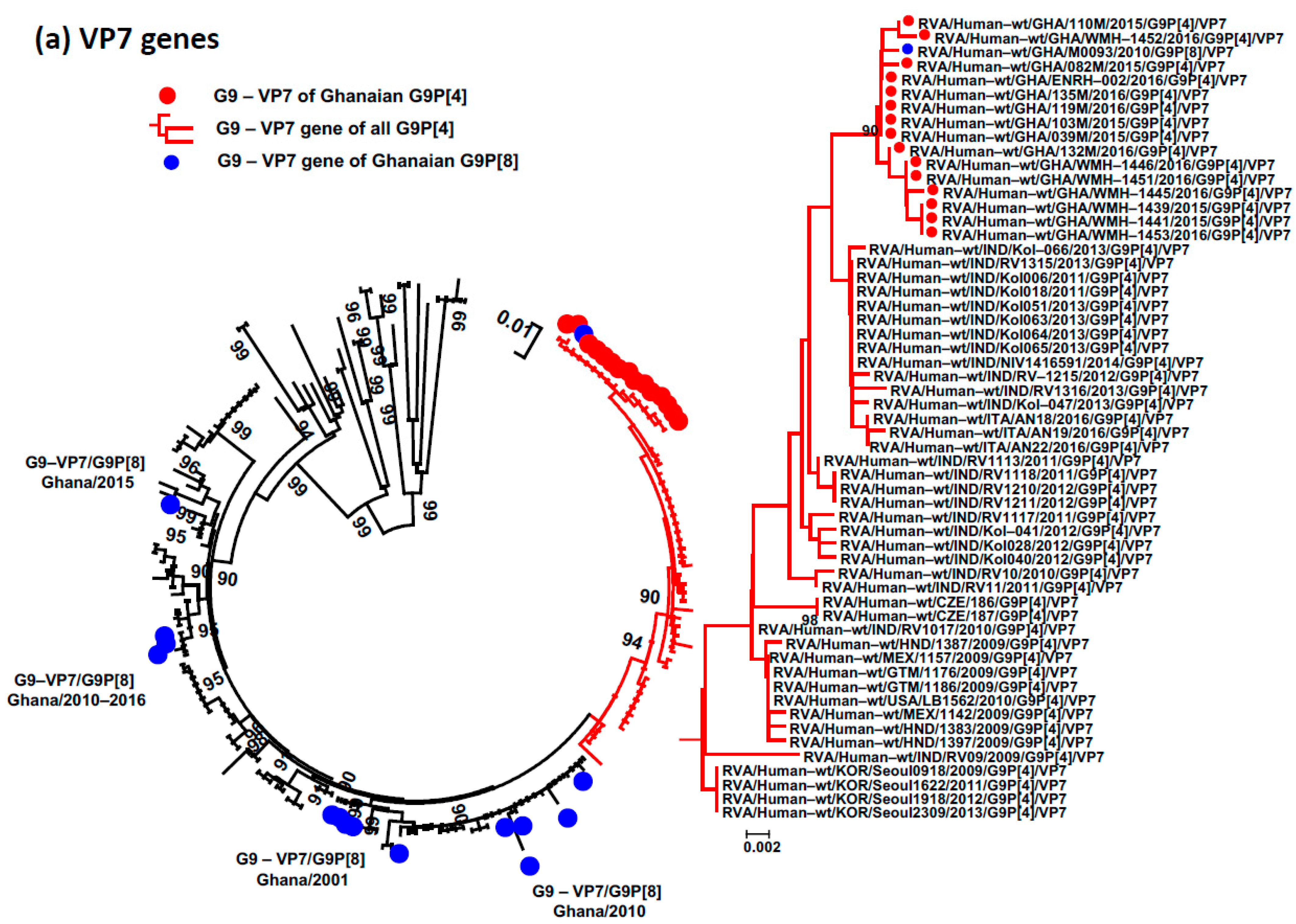 Viruses 15 02453 g002a