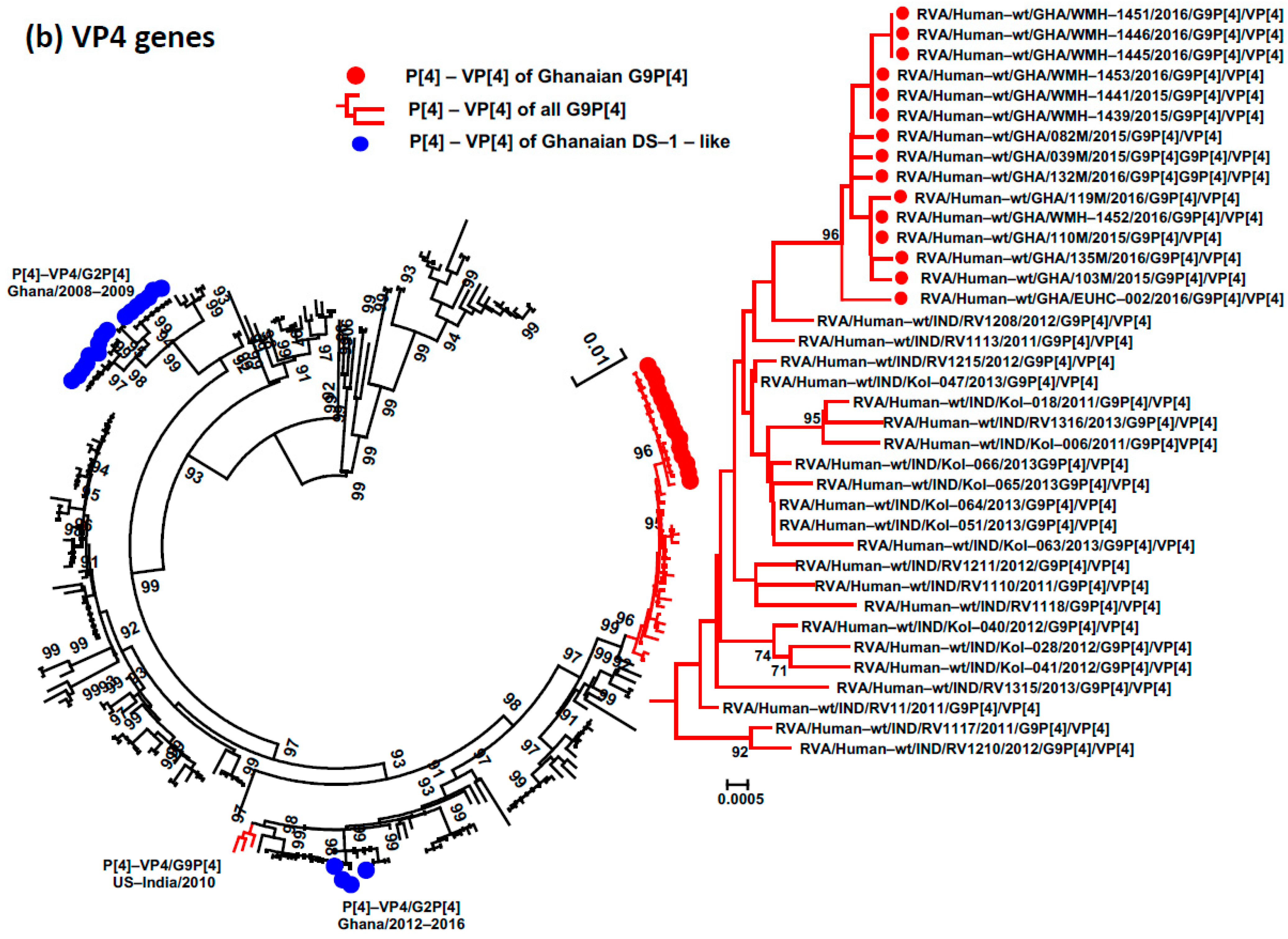 Viruses 15 02453 g002b