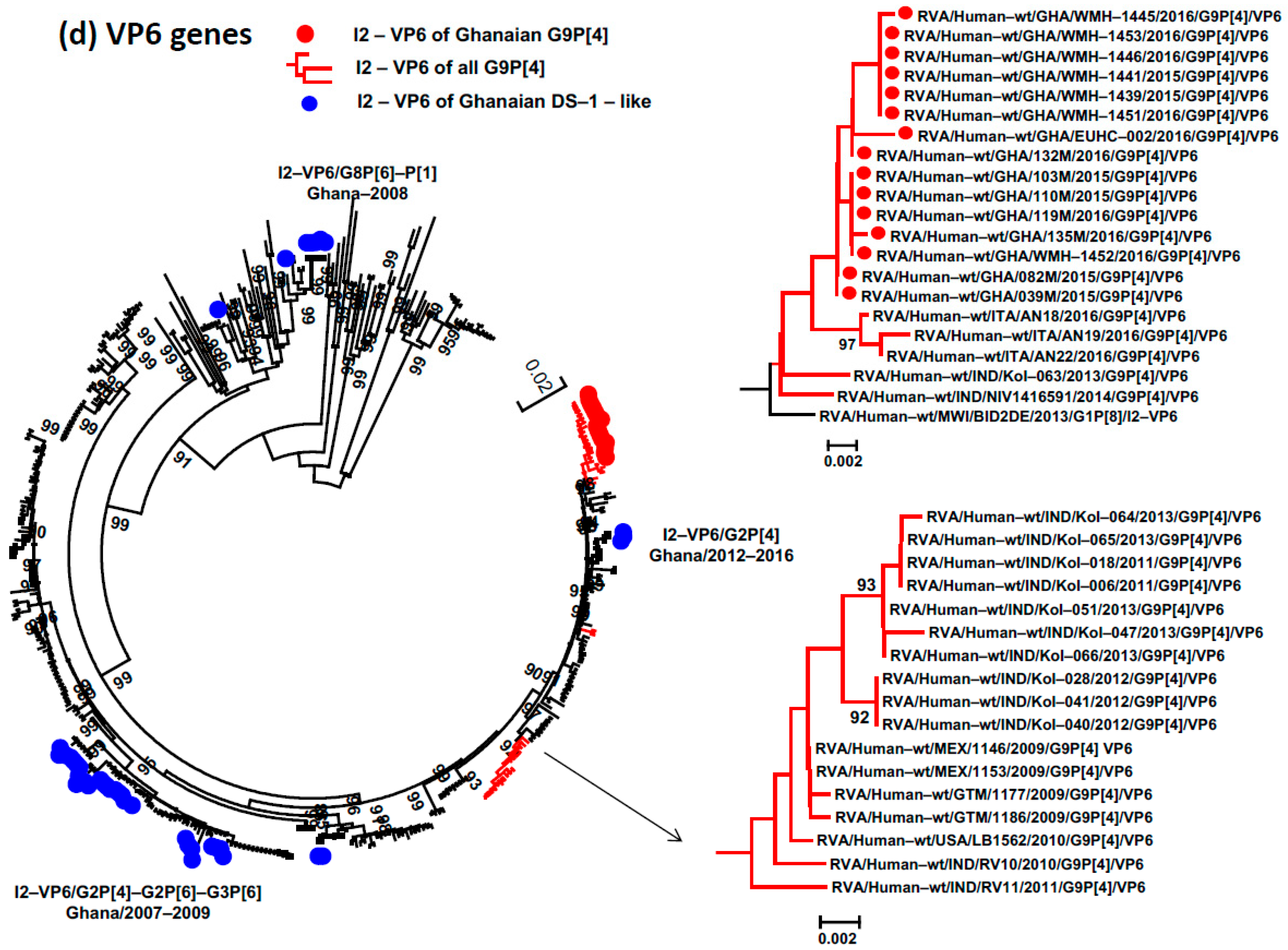 Viruses 15 02453 g002d