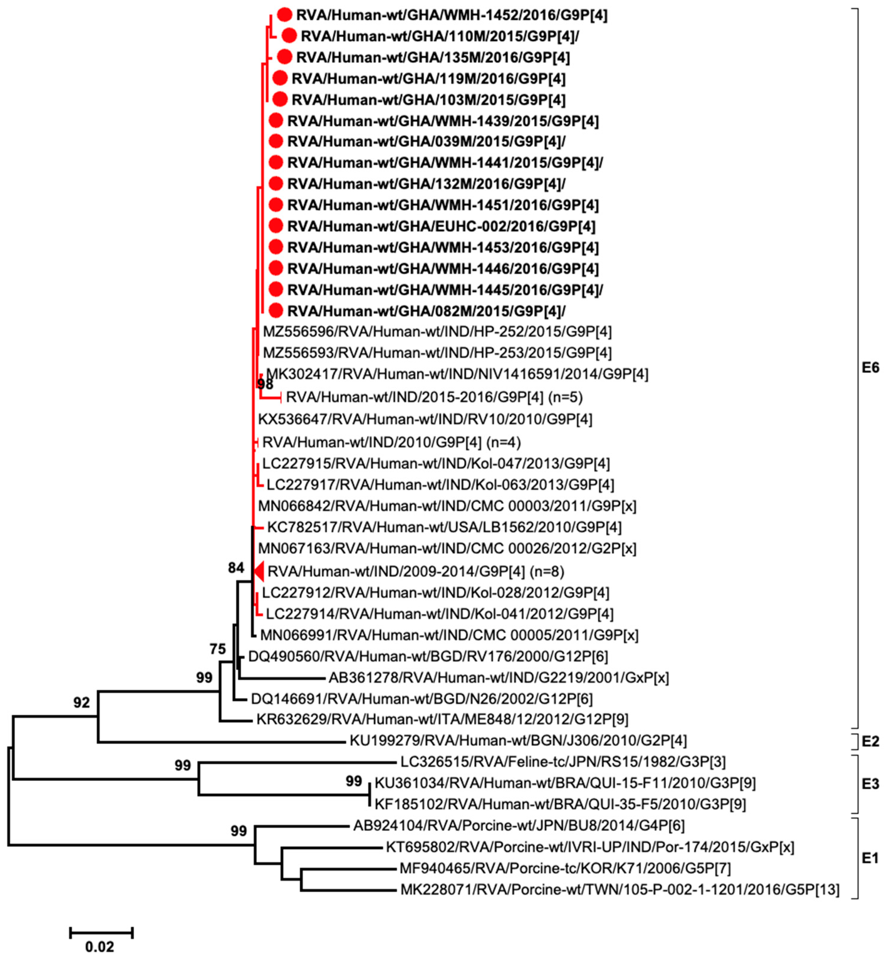 Viruses 15 02453 g004