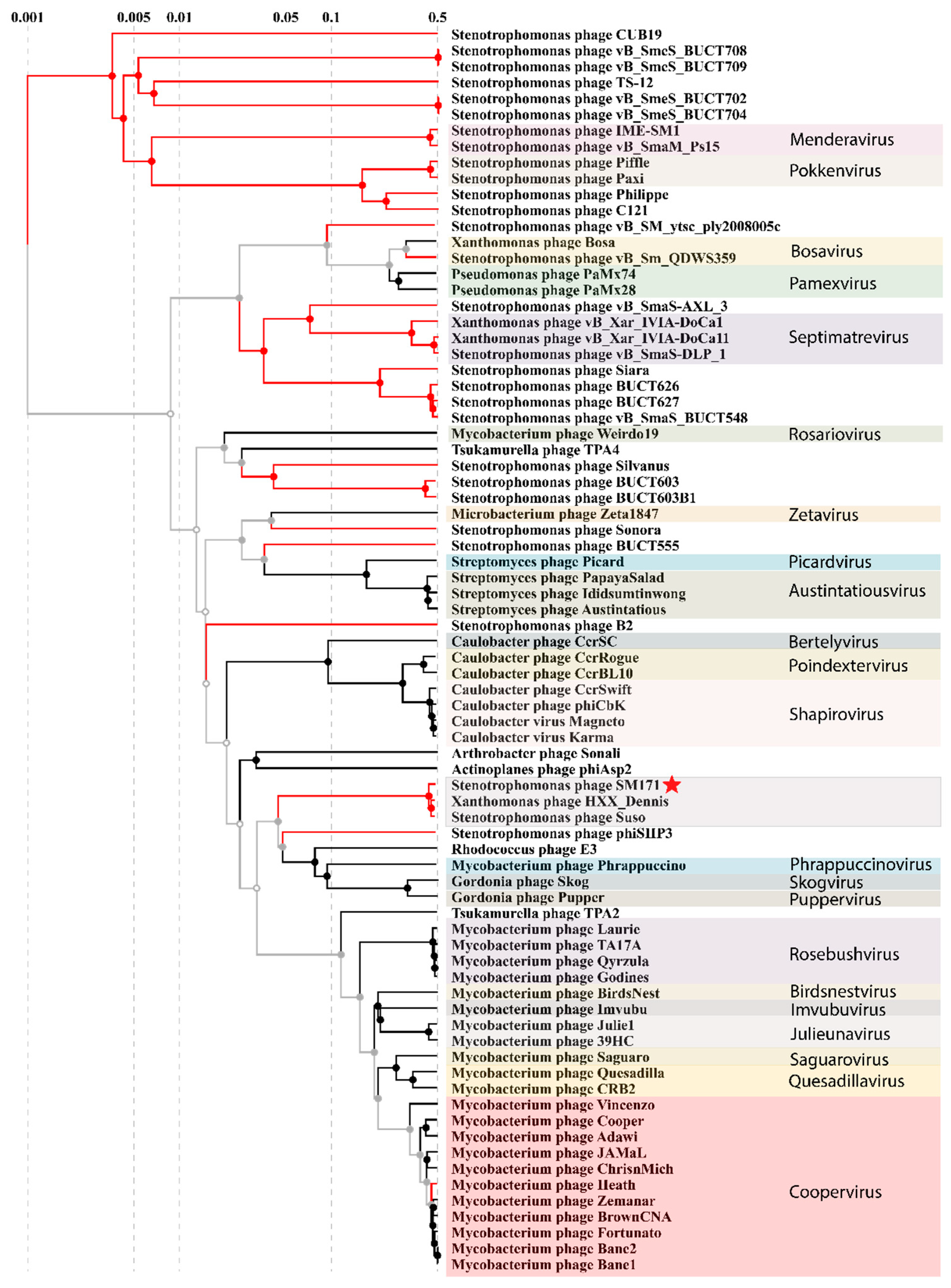 Viruses 15 02455 g004