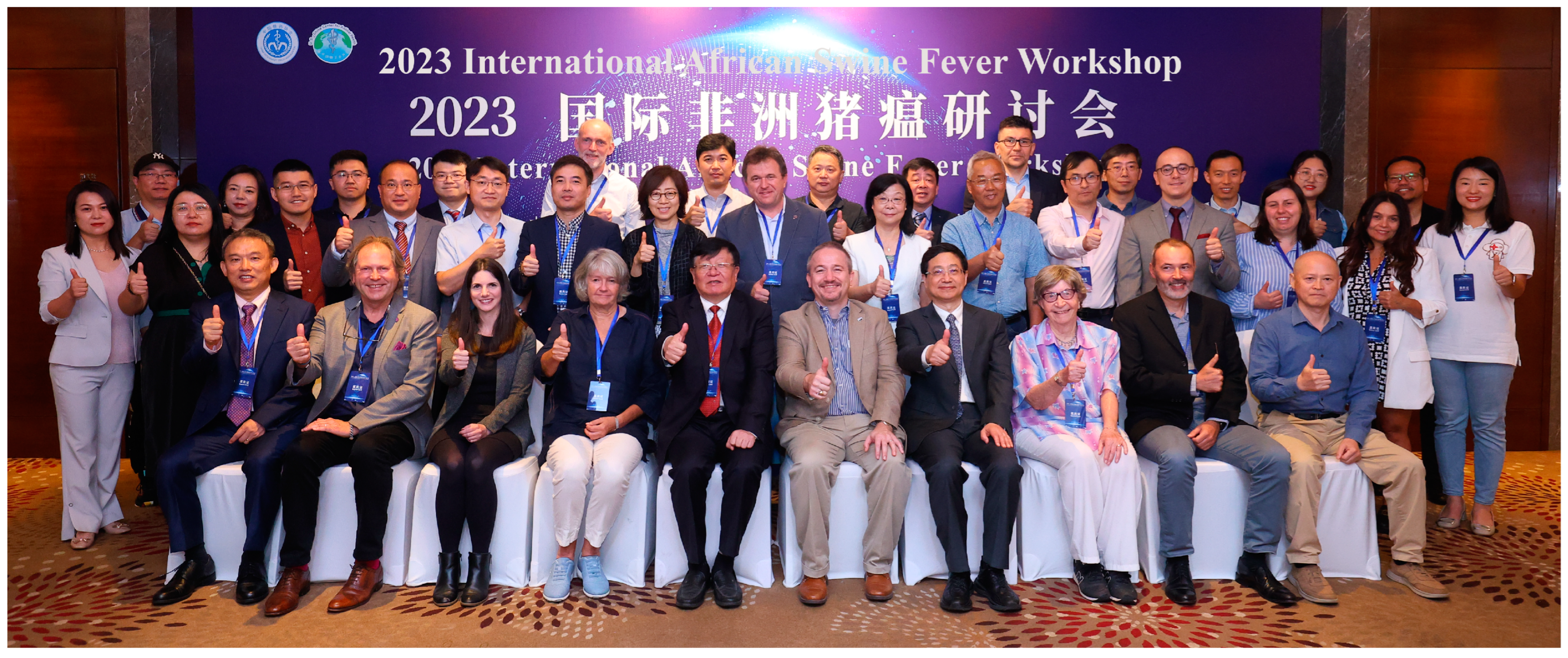 Viruses 16 00004 g002