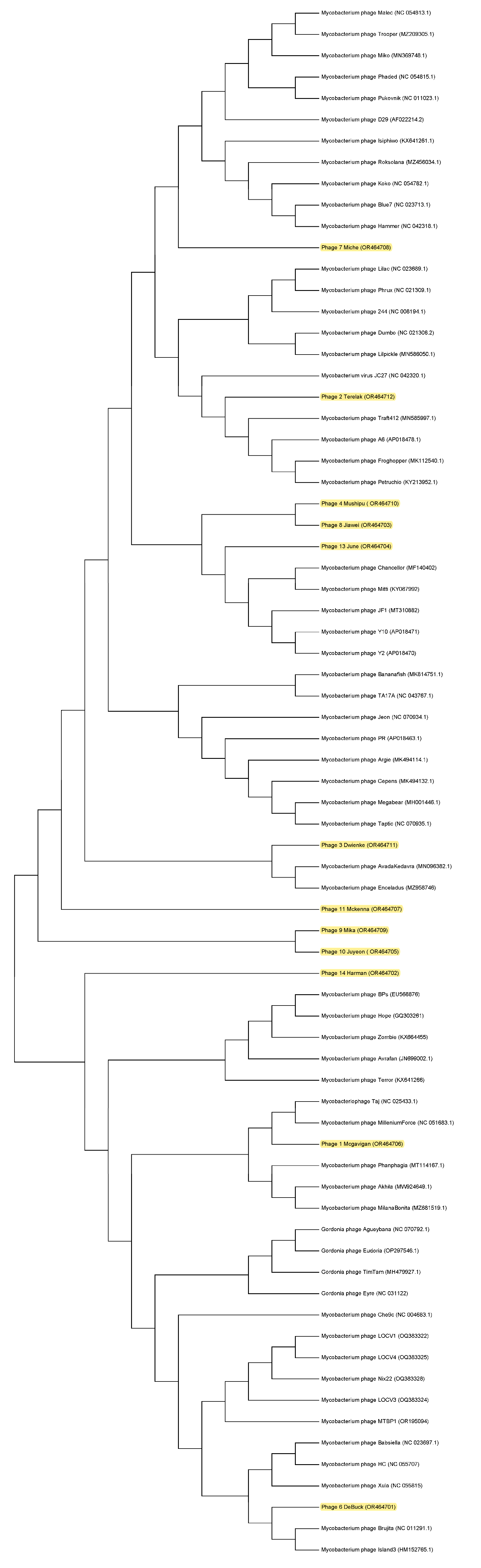 Viruses 16 00020 g003