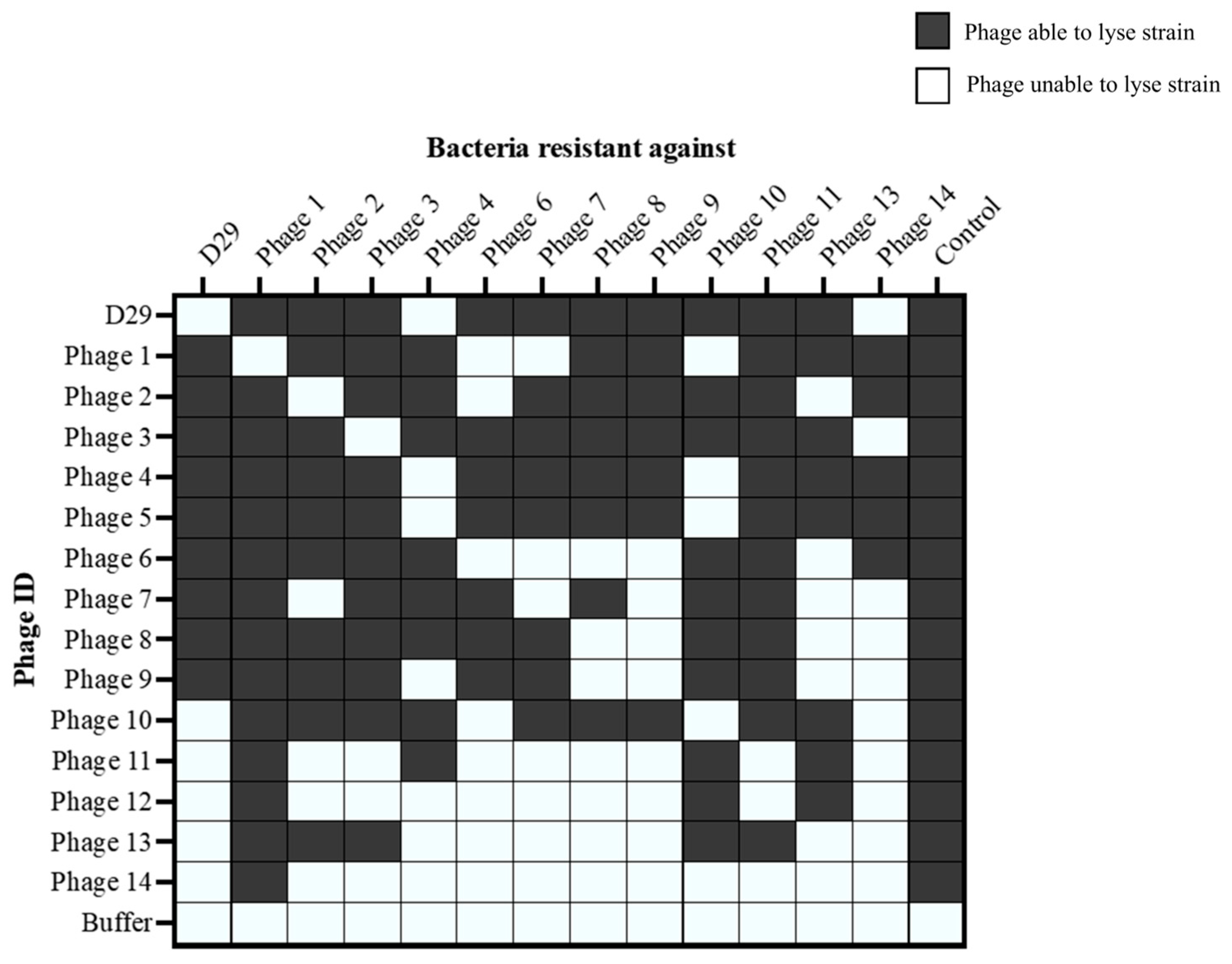 Viruses 16 00020 g005