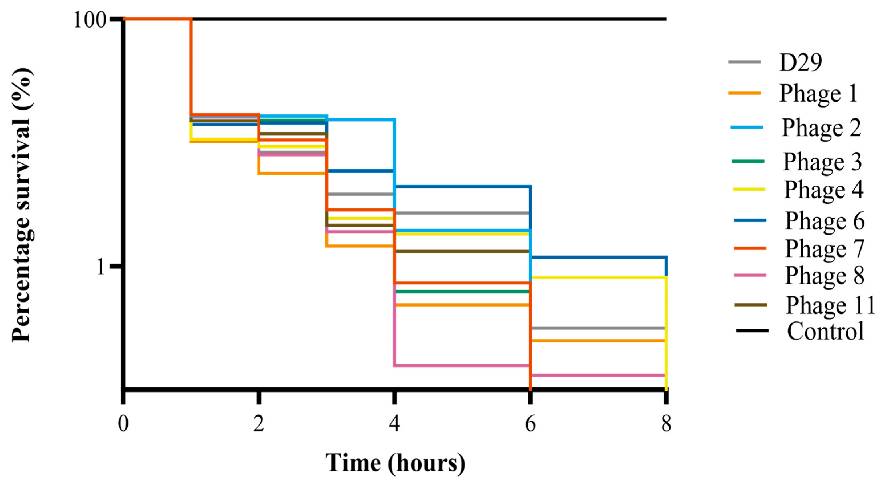 Viruses 16 00020 g008