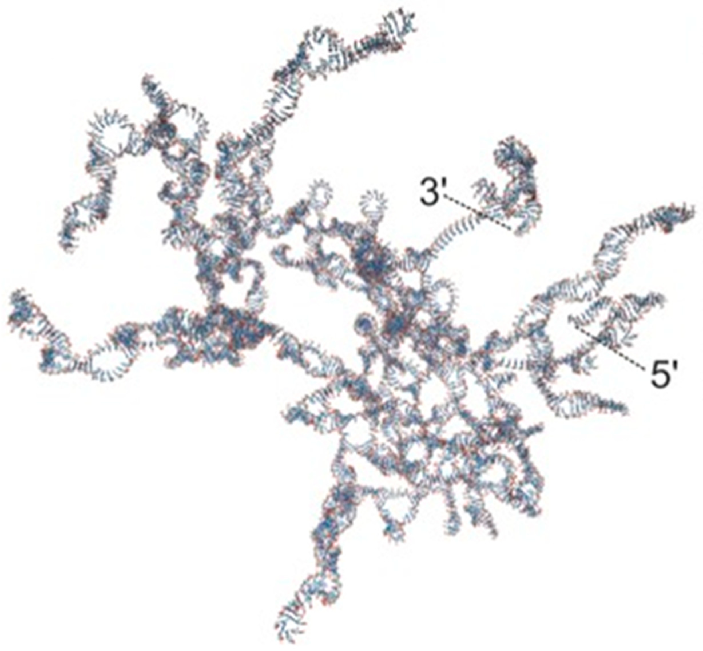 Viruses 16 00022 g005