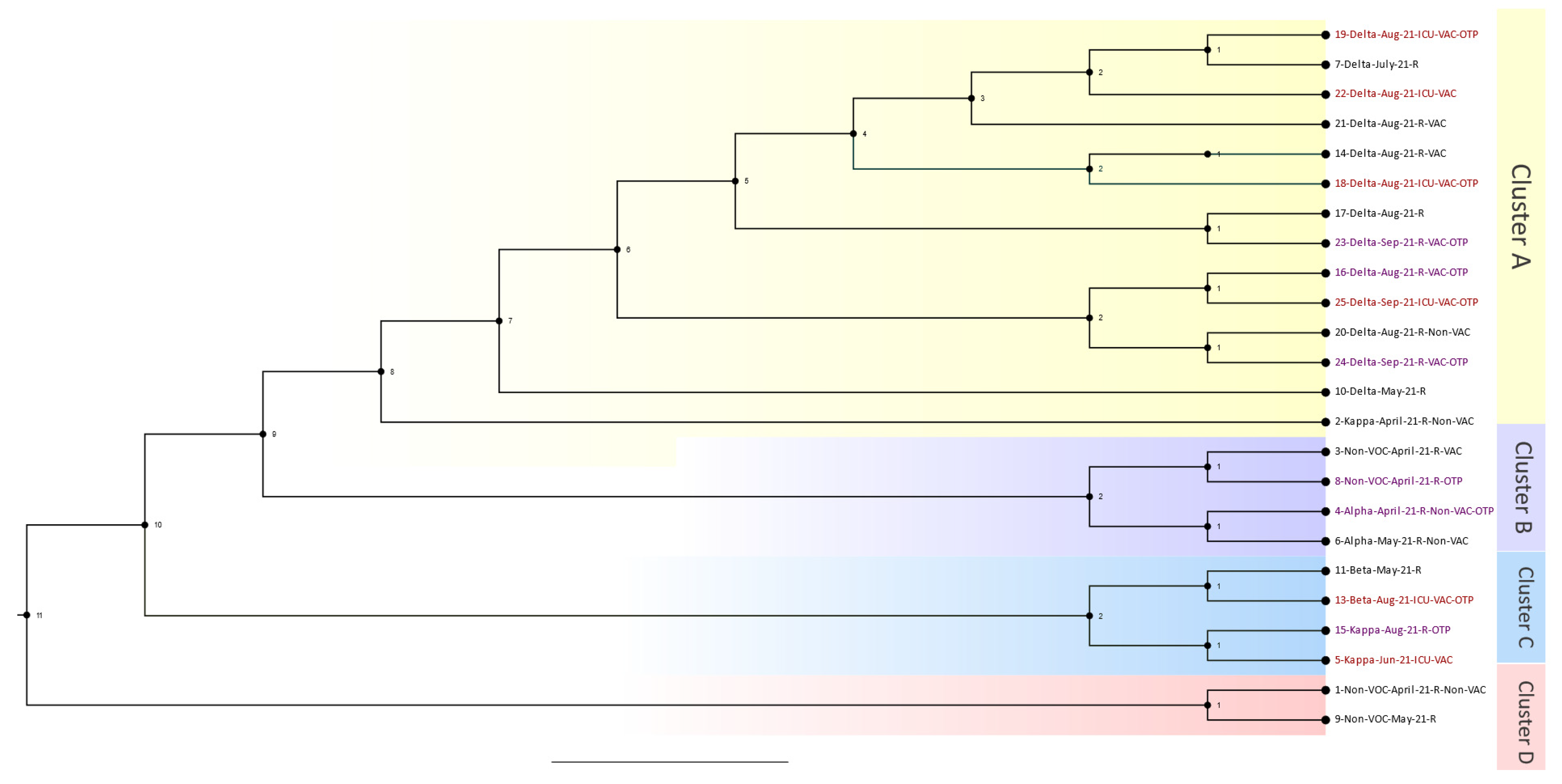 Viruses 16 00025 g002