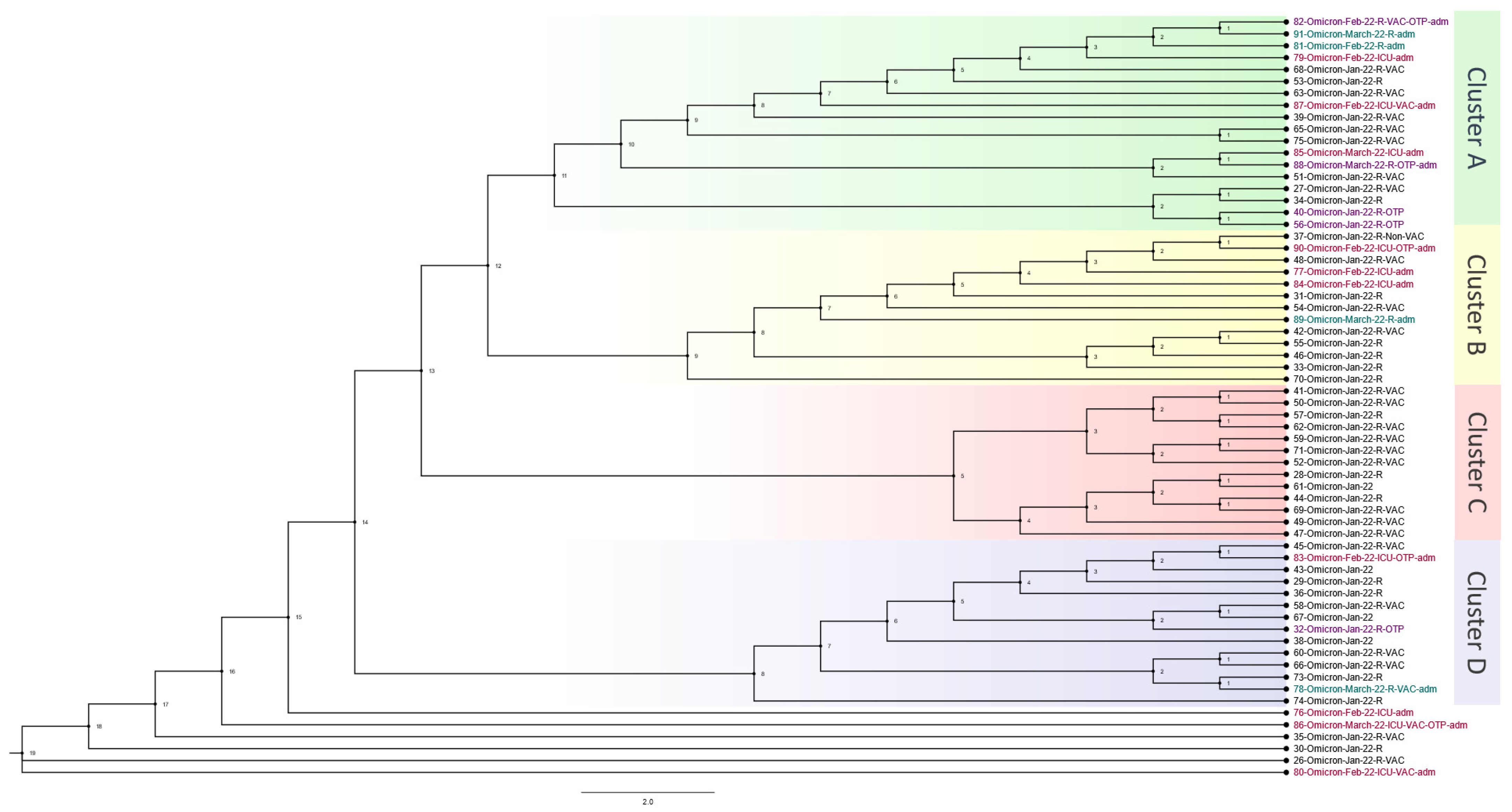 Viruses 16 00025 g003