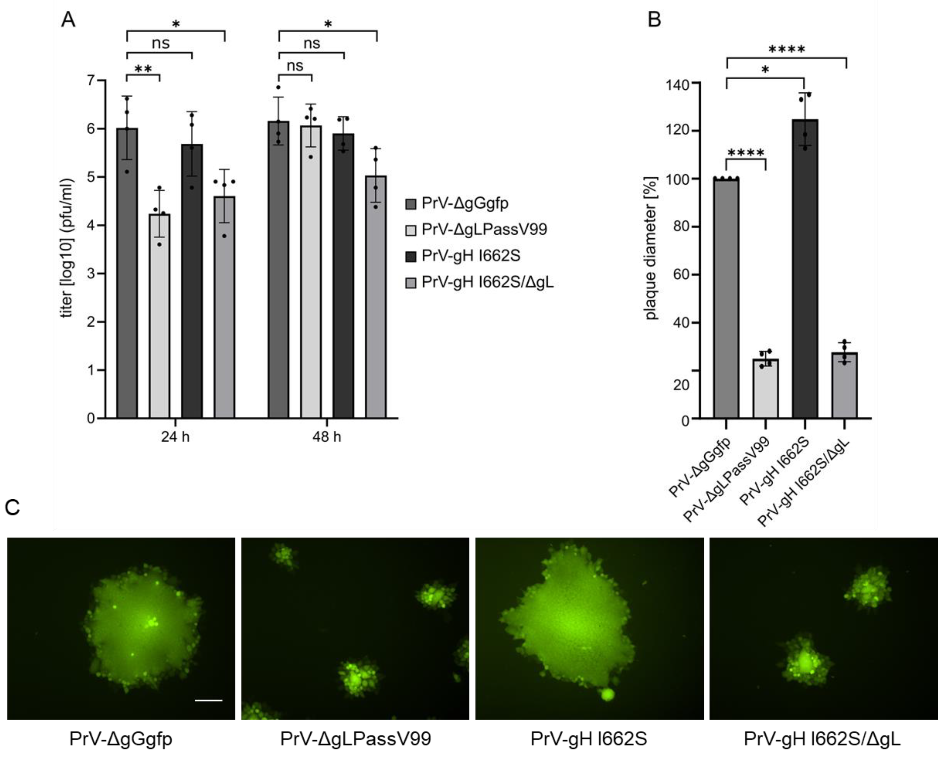 Viruses 16 00026 g007 Viruses 16 00026 g007