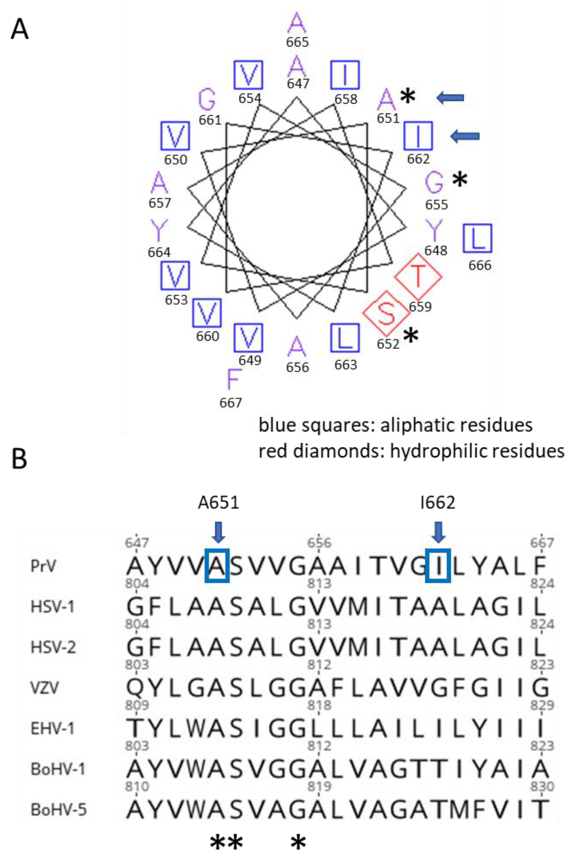 Viruses 16 00026 g008 Viruses 16 00026 g008