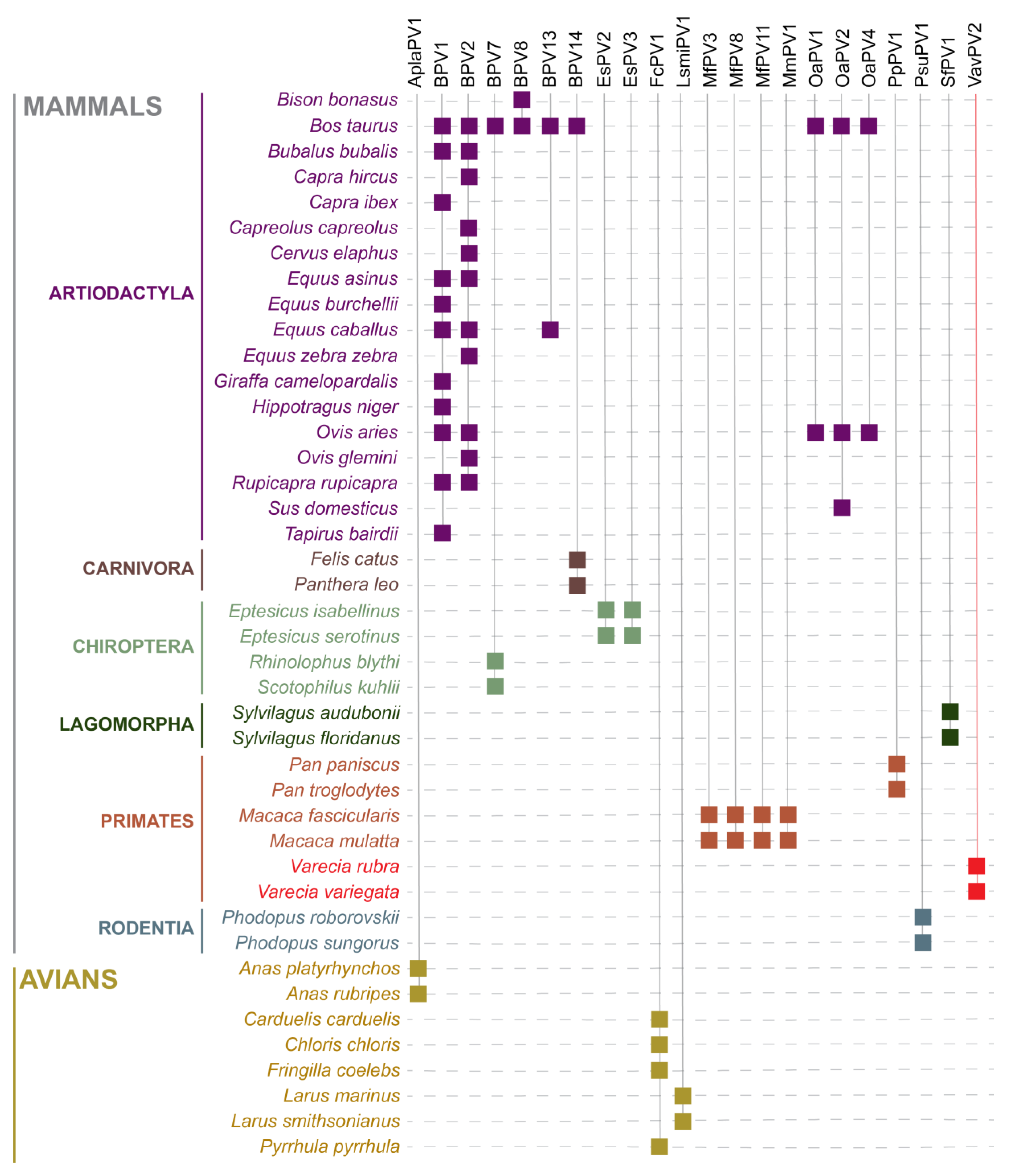 Viruses 16 00037 g001 Viruses 16 00037 g001