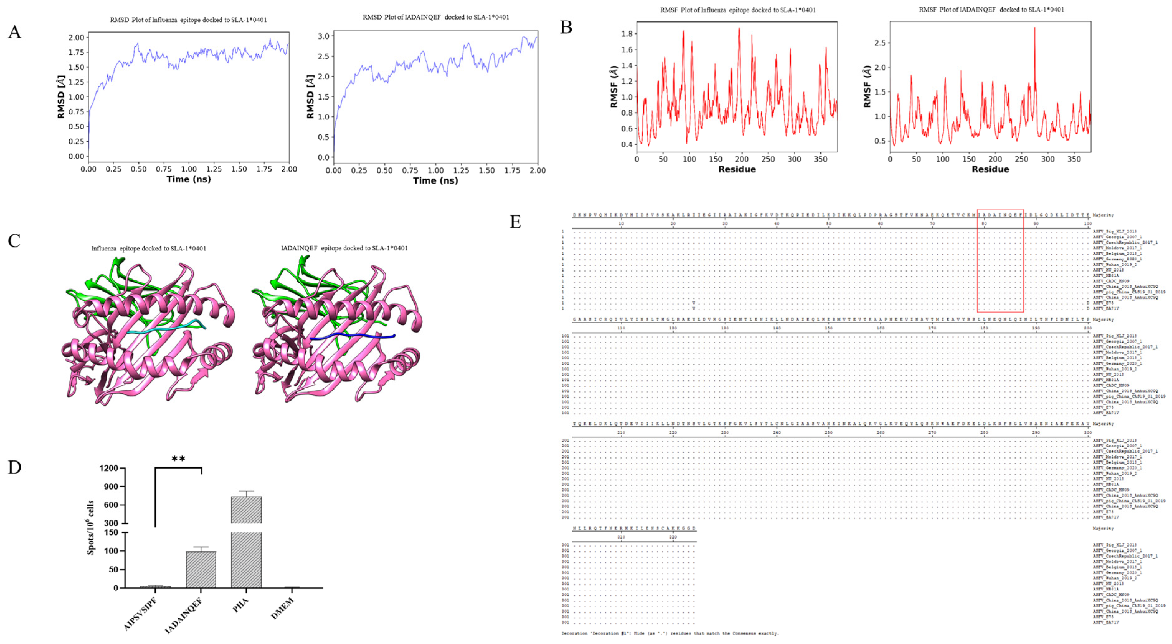Viruses 16 00038 g004