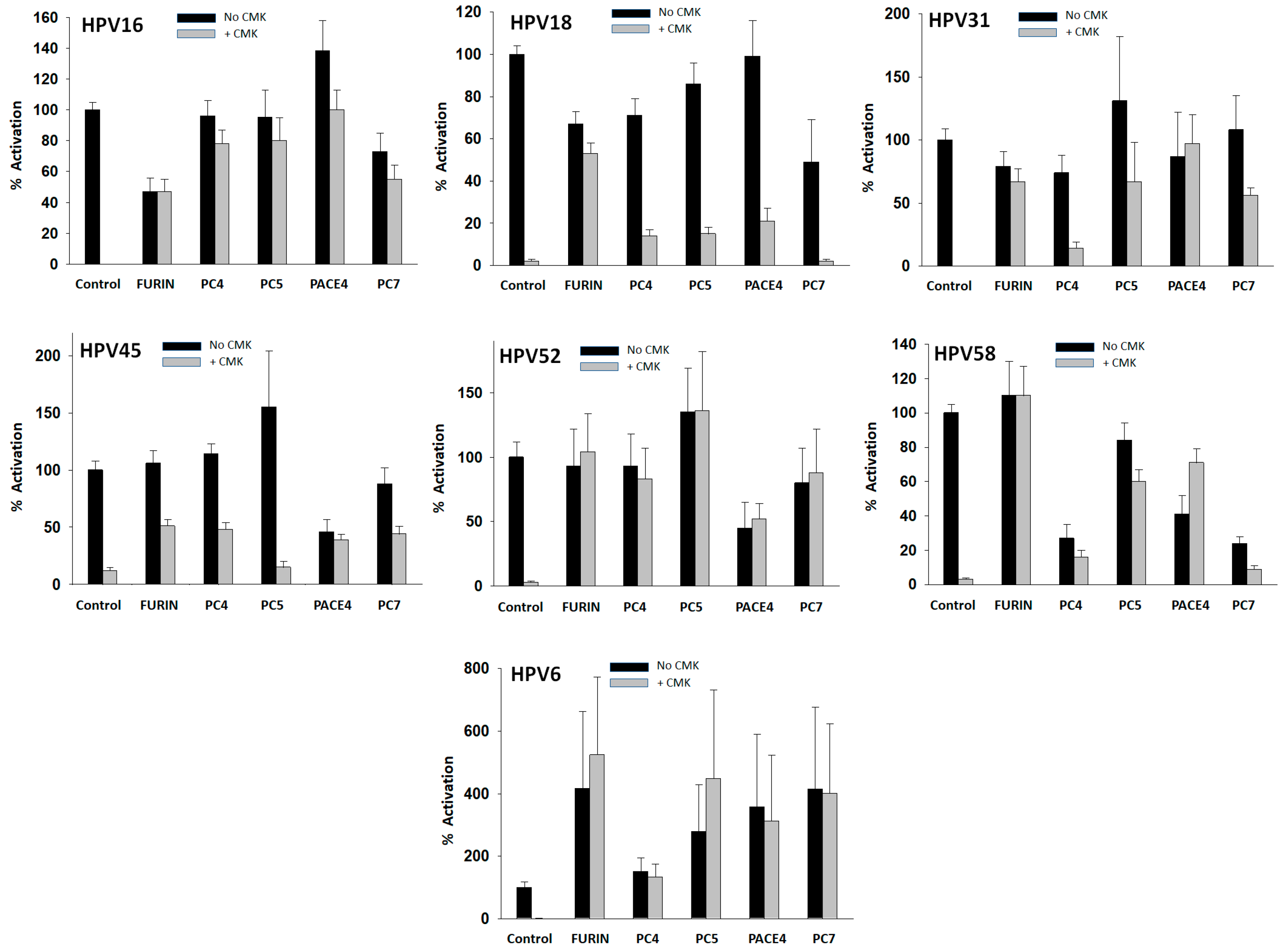 Viruses 16 00039 g004