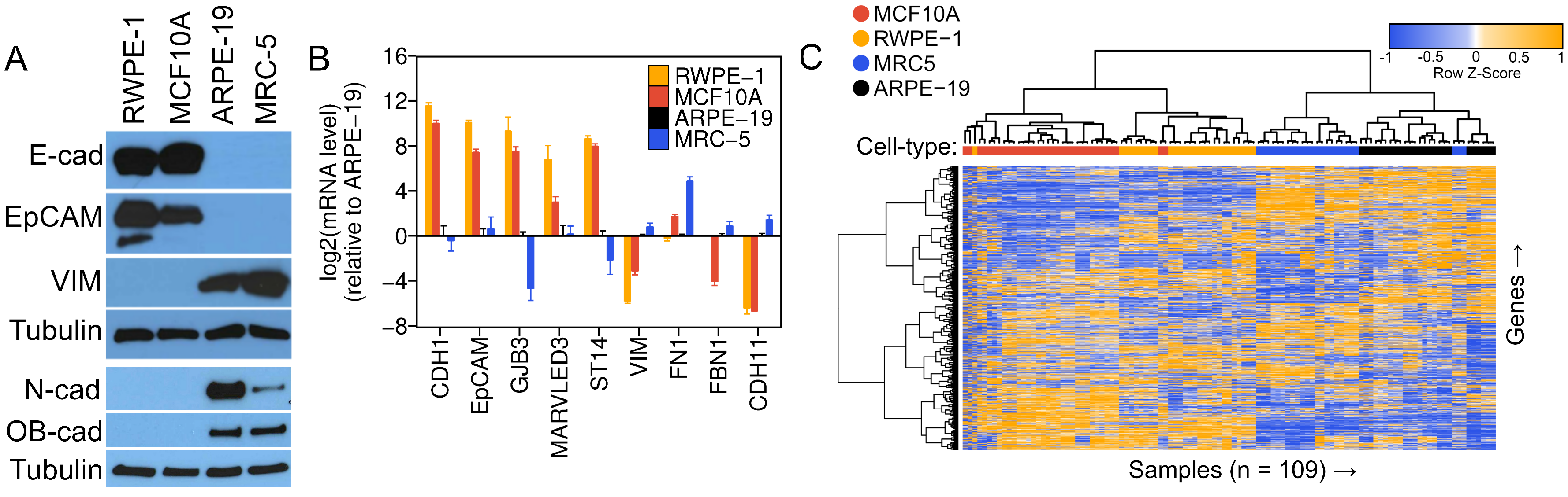 Viruses 16 00049 g001