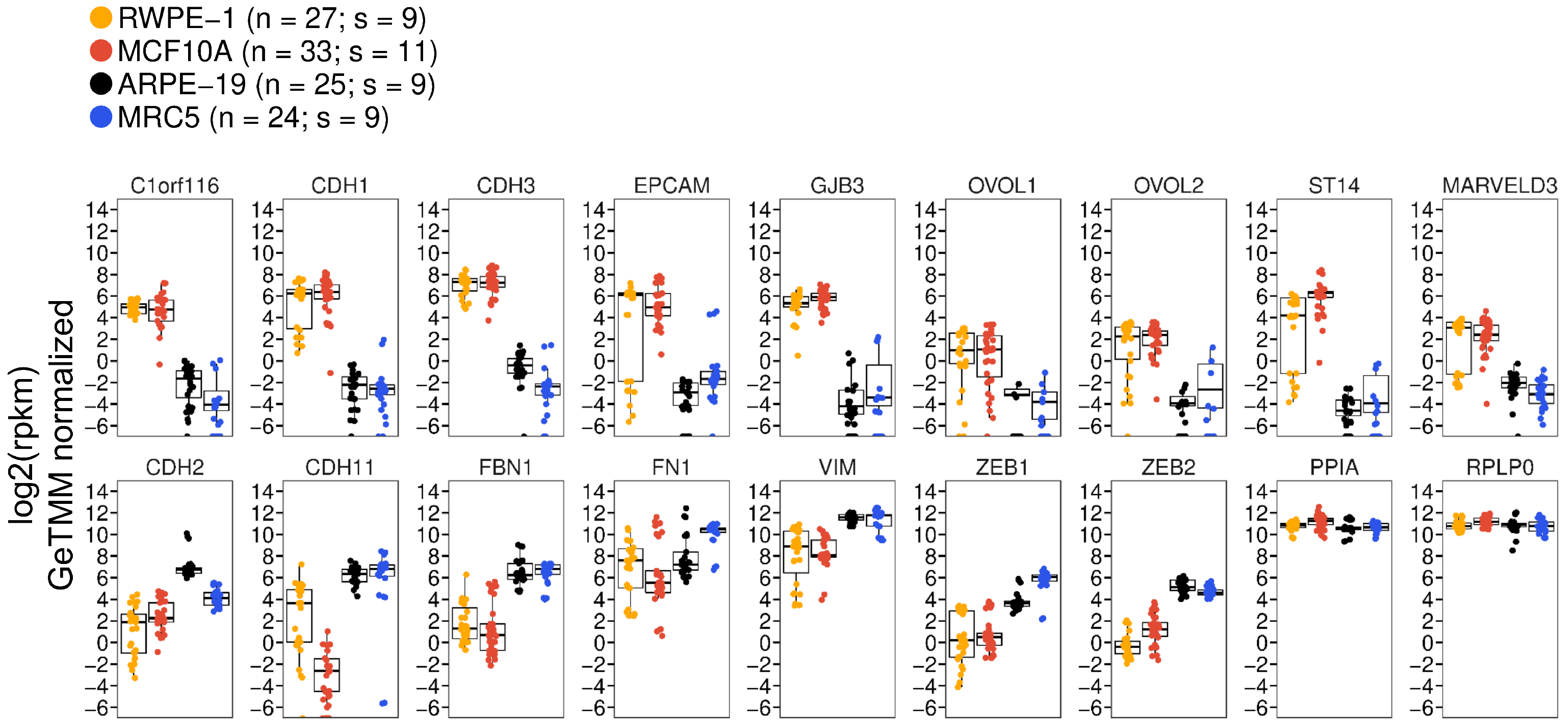 Viruses 16 00049 g002