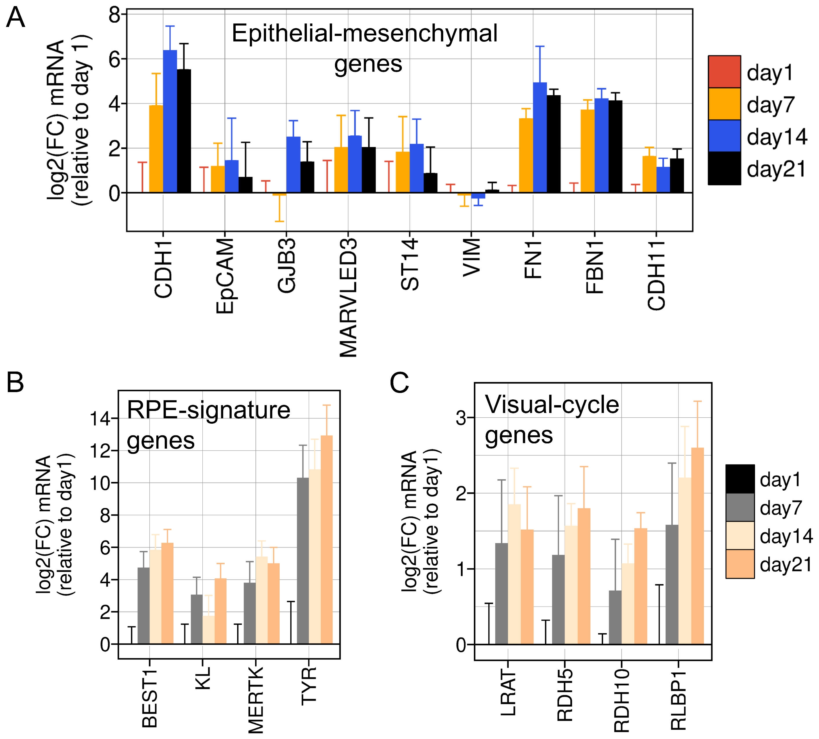 Viruses 16 00049 g005