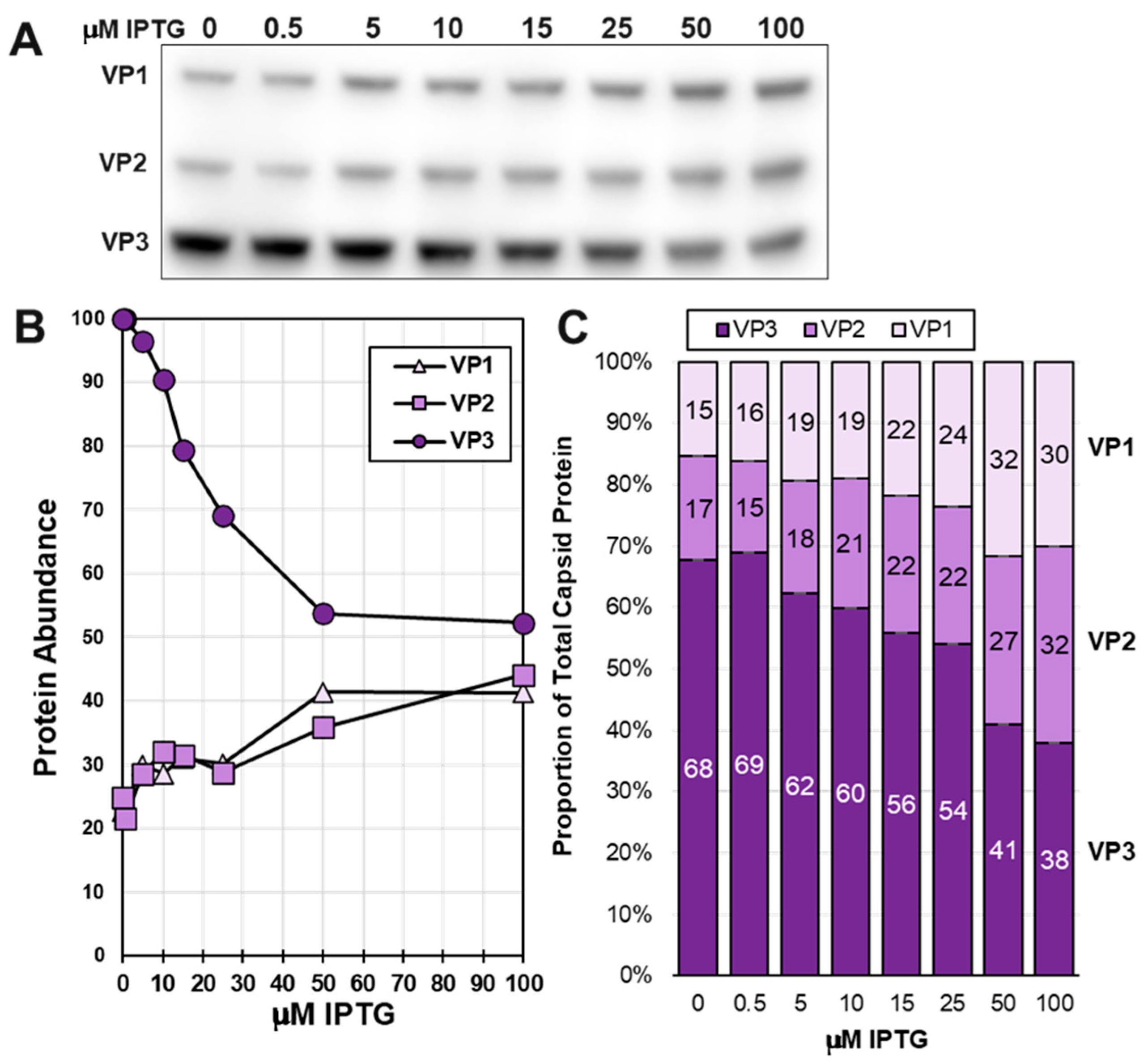 Viruses 16 00051 g006