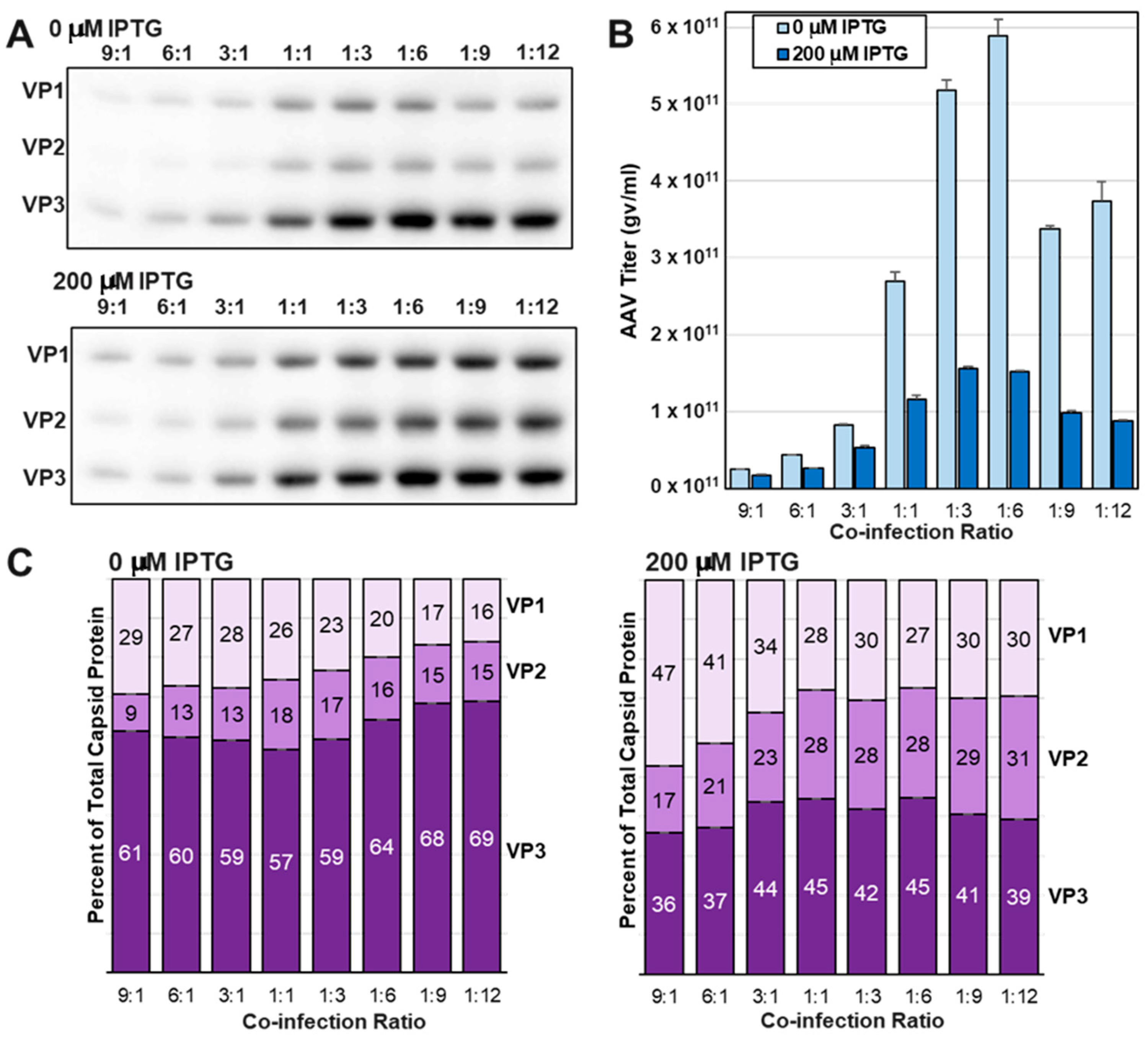 Viruses 16 00051 g007