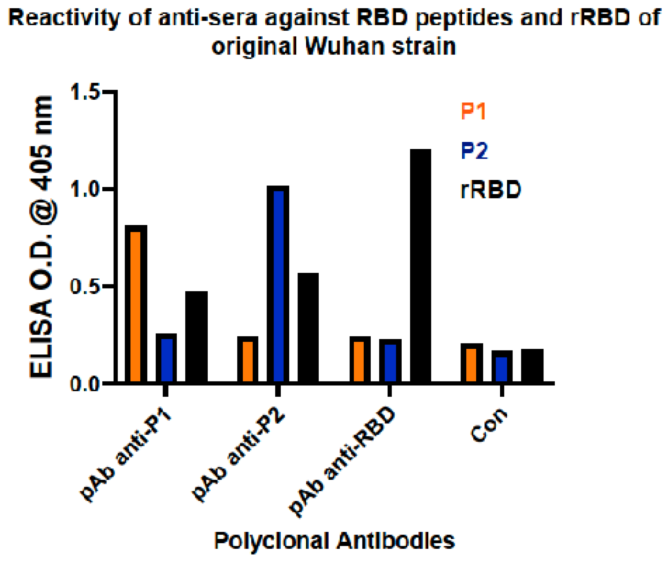 Viruses 16 00064 g003