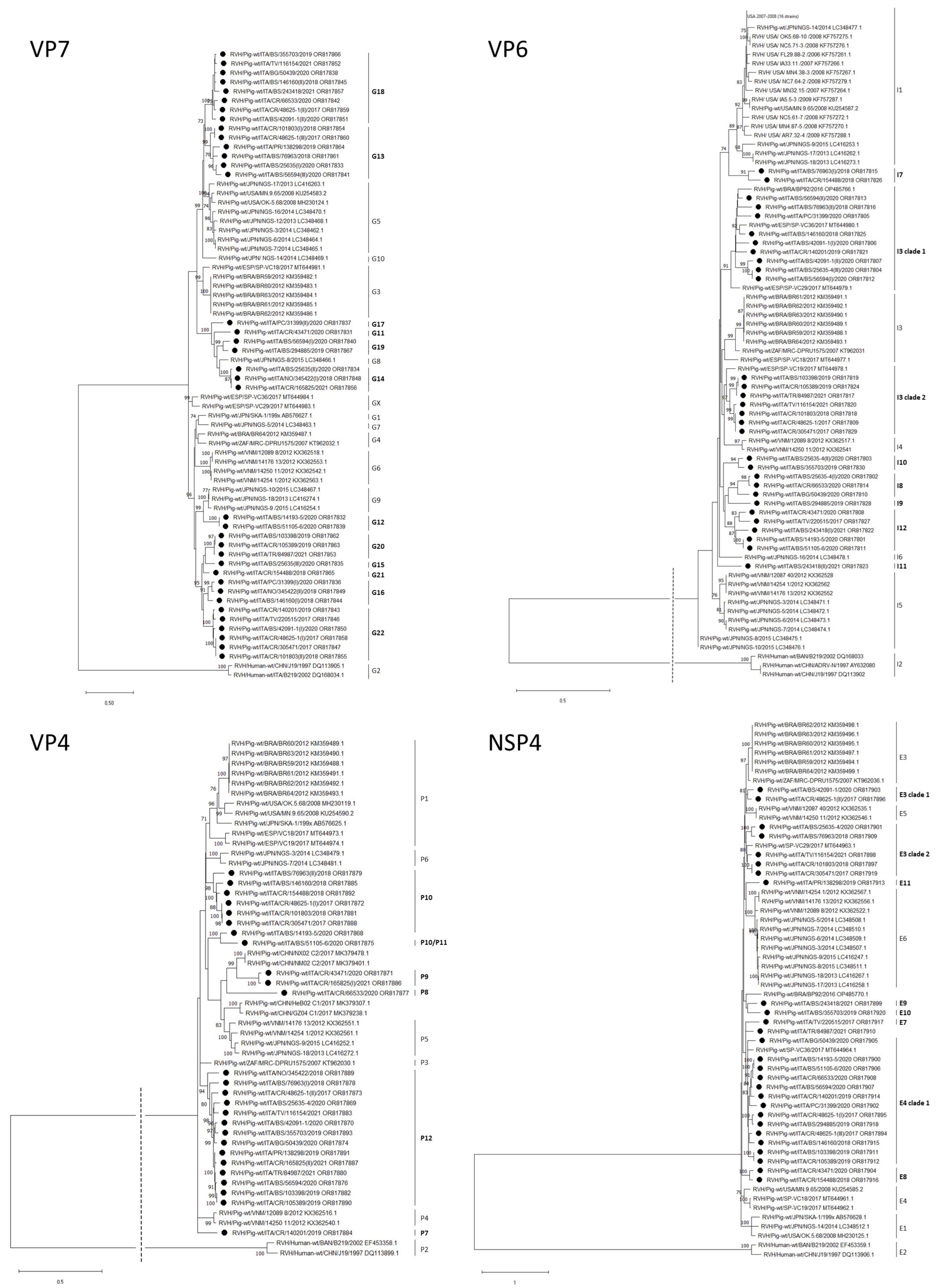Viruses 16 00068 g001