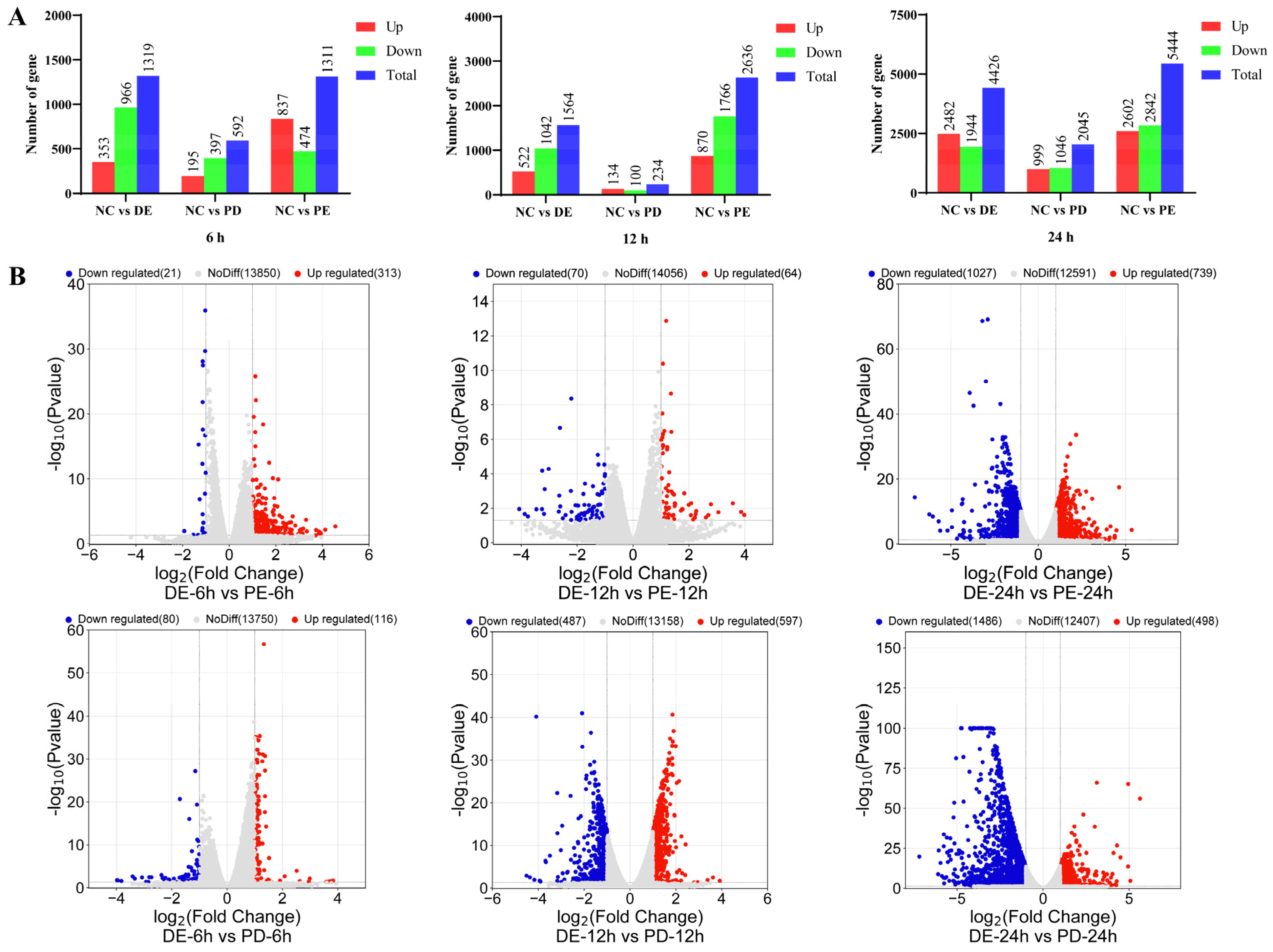 Viruses 16 00074 g002