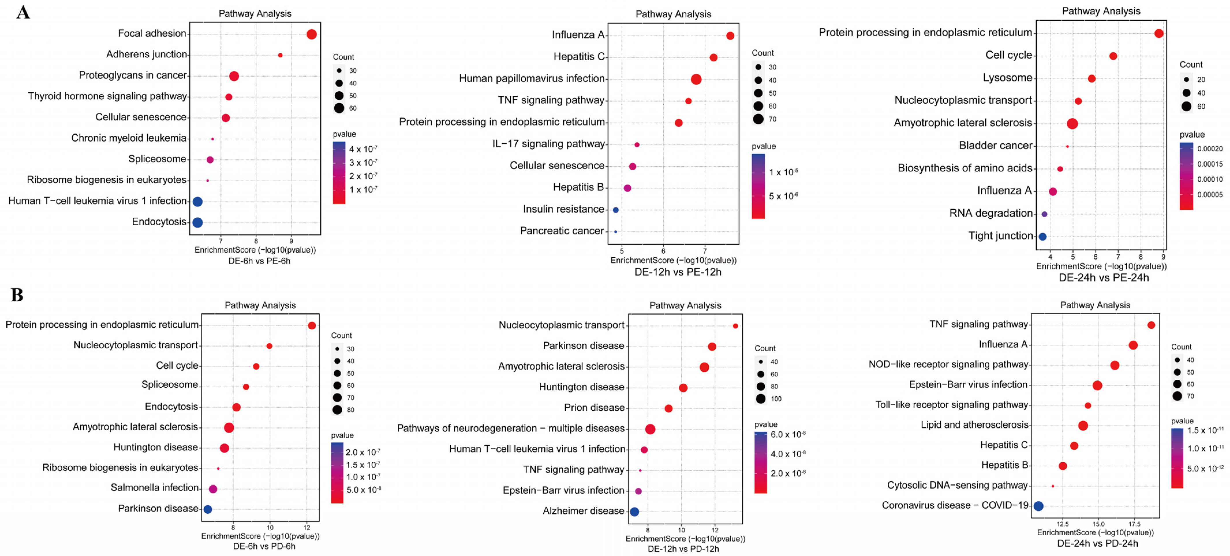 Viruses 16 00074 g003
