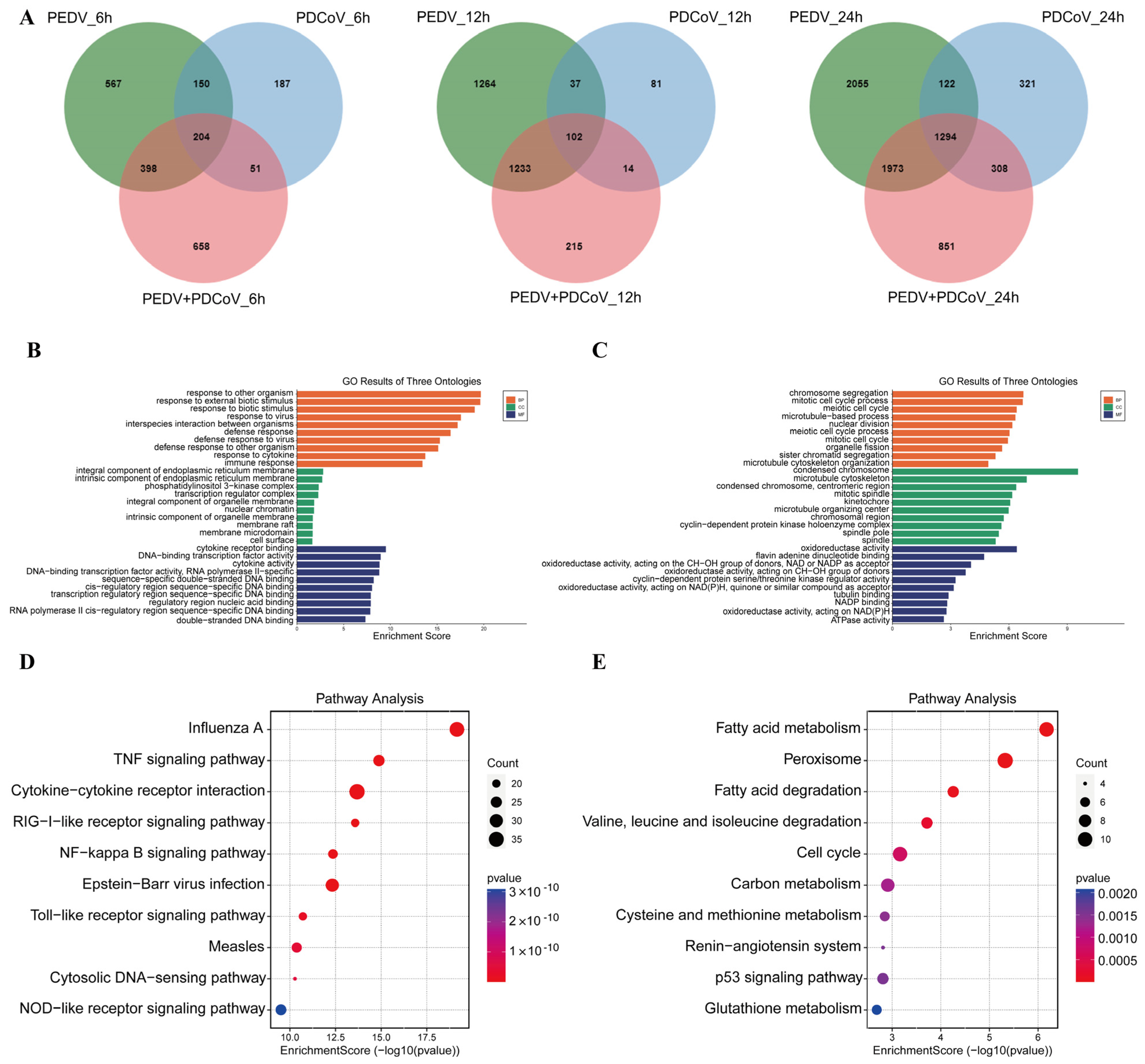 Viruses 16 00074 g004