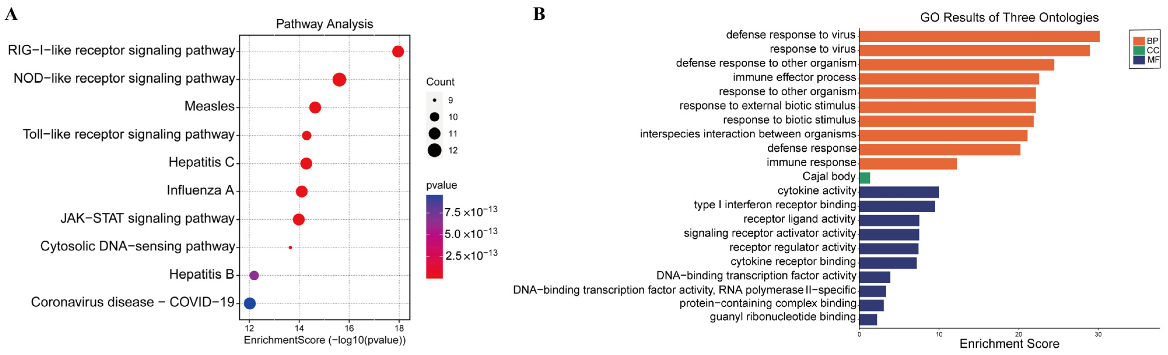 Viruses 16 00074 g005