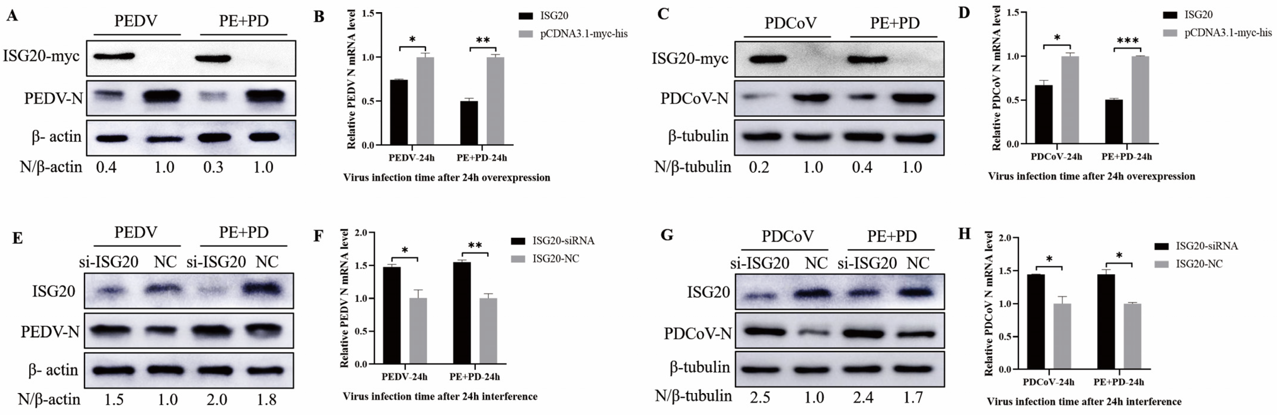 Viruses 16 00074 g007
