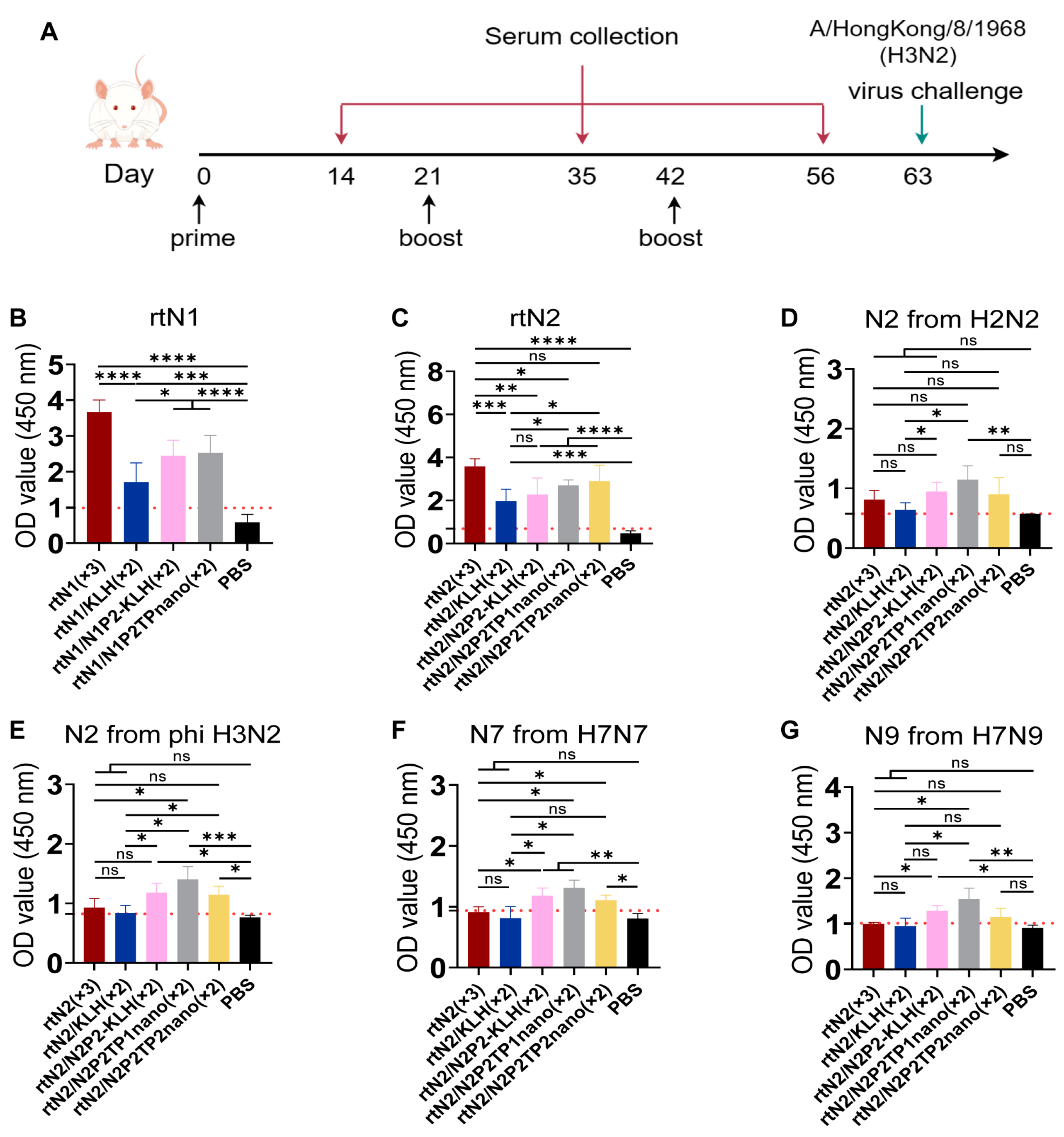 Viruses 16 00077 g003