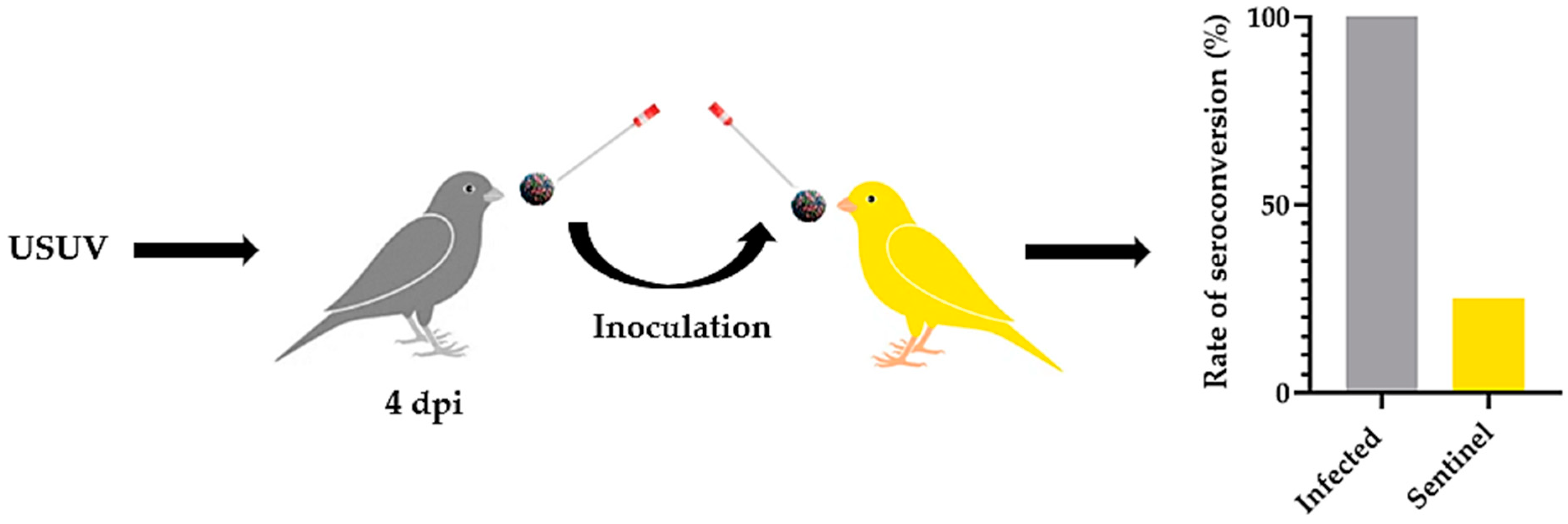 Viruses 16 00079 g009