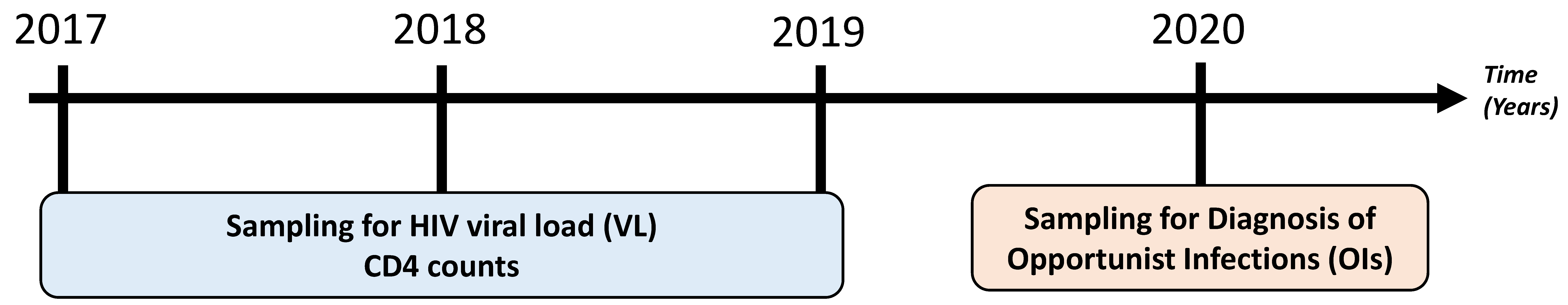 Viruses 16 00085 g001