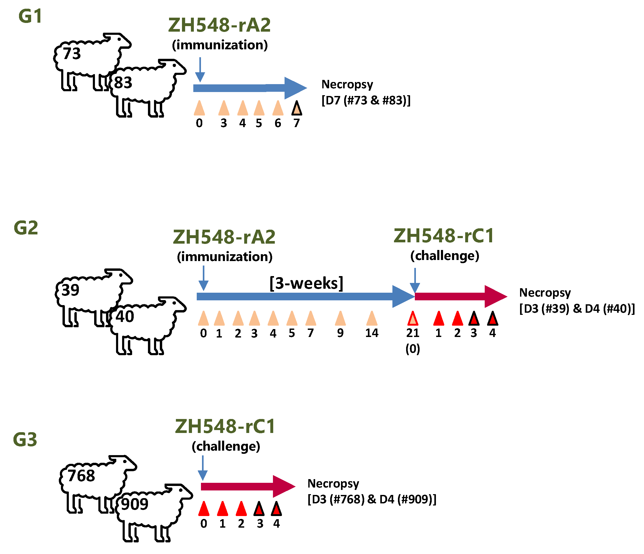 Viruses 16 00087 g001