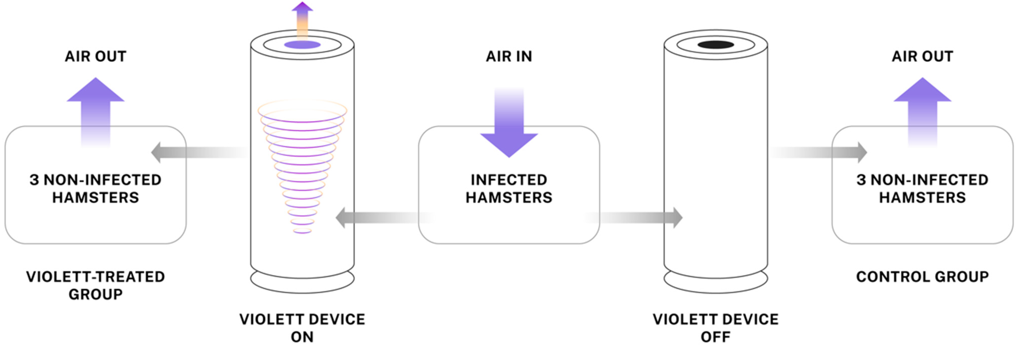Viruses 16 00089 g001