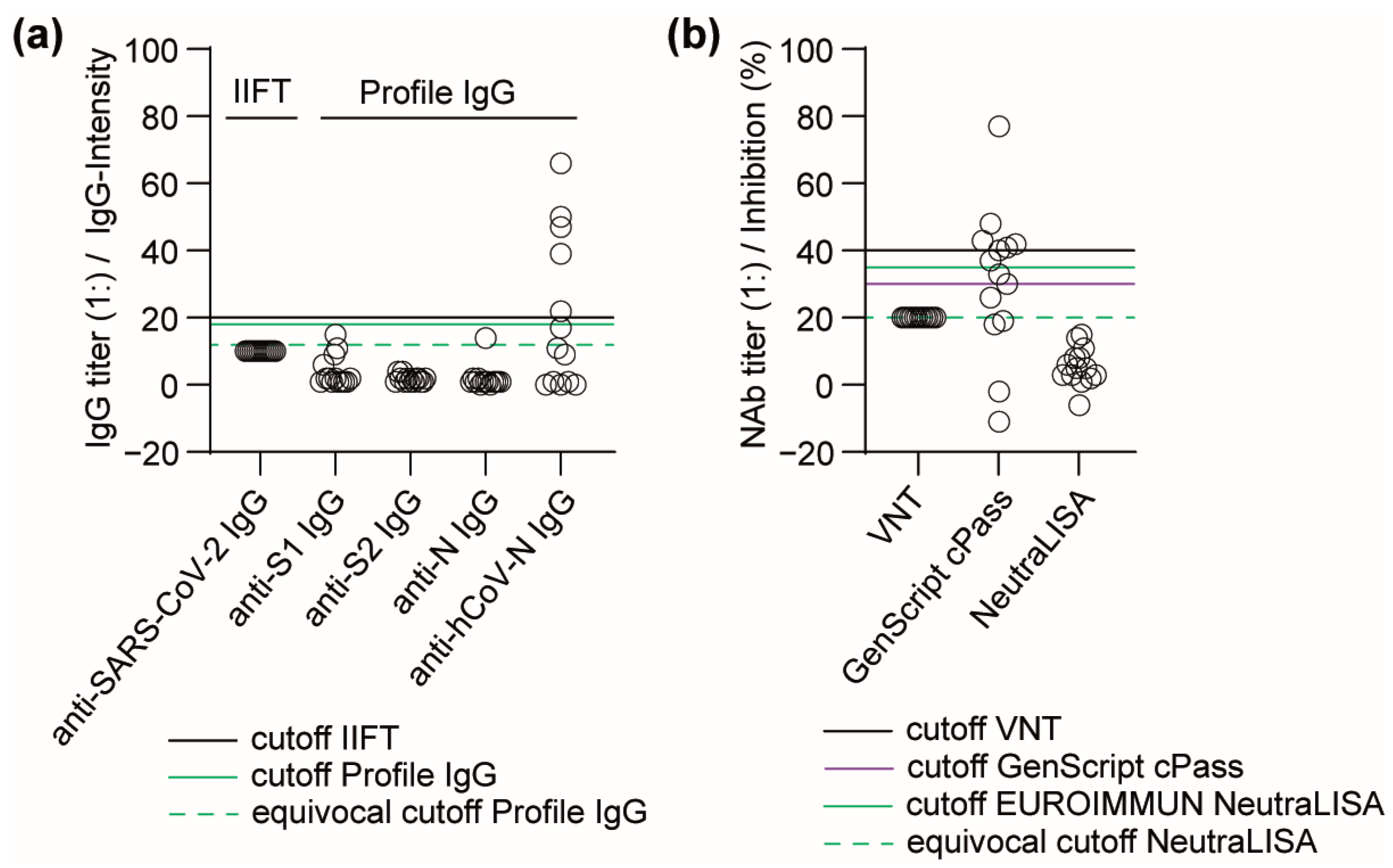 Viruses 16 00091 g002