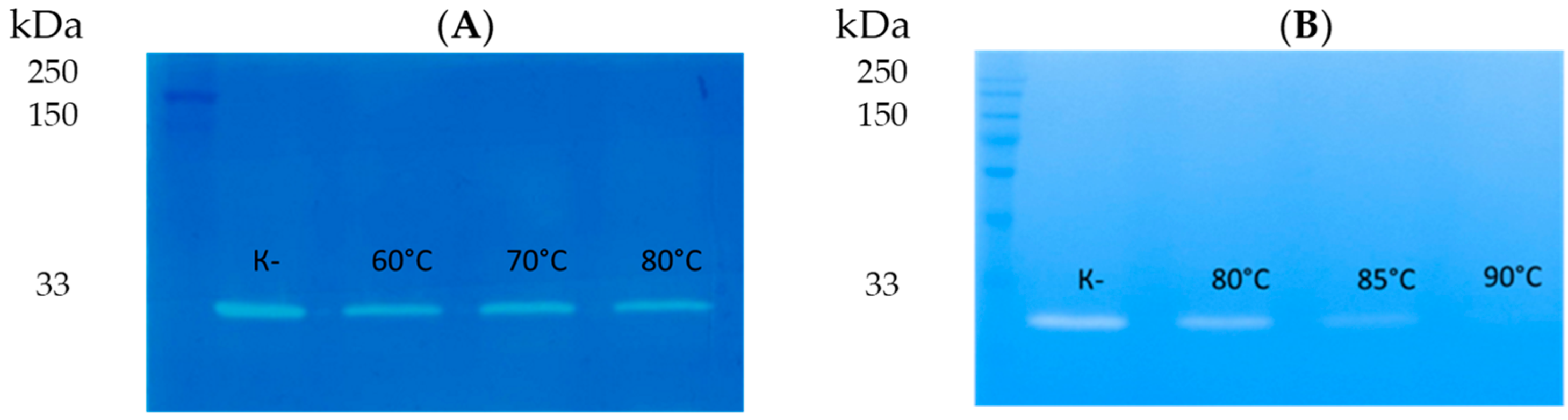 Viruses 16 00093 g005