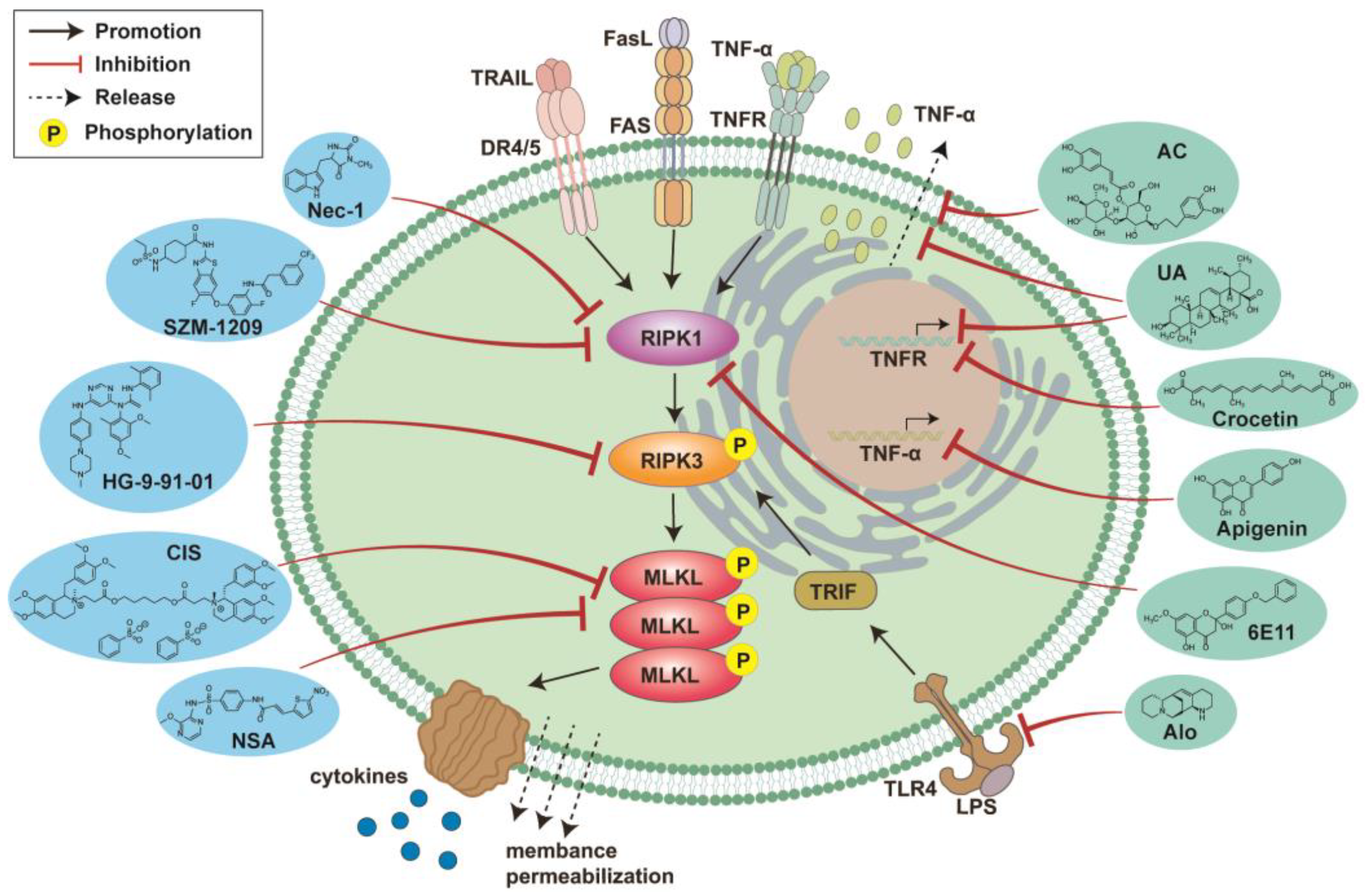 Viruses 16 00094 g002 Viruses 16 00094 g002