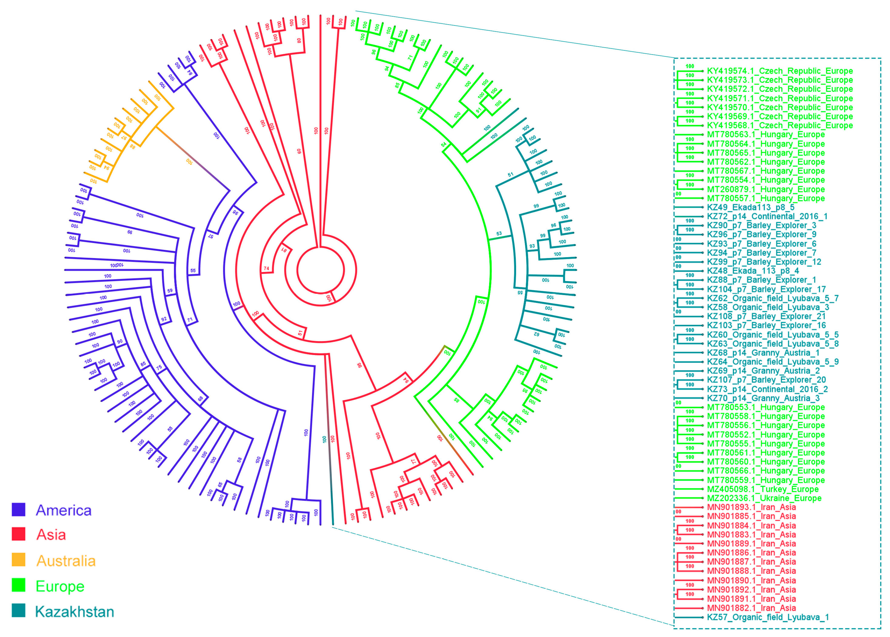 Viruses 16 00096 g004