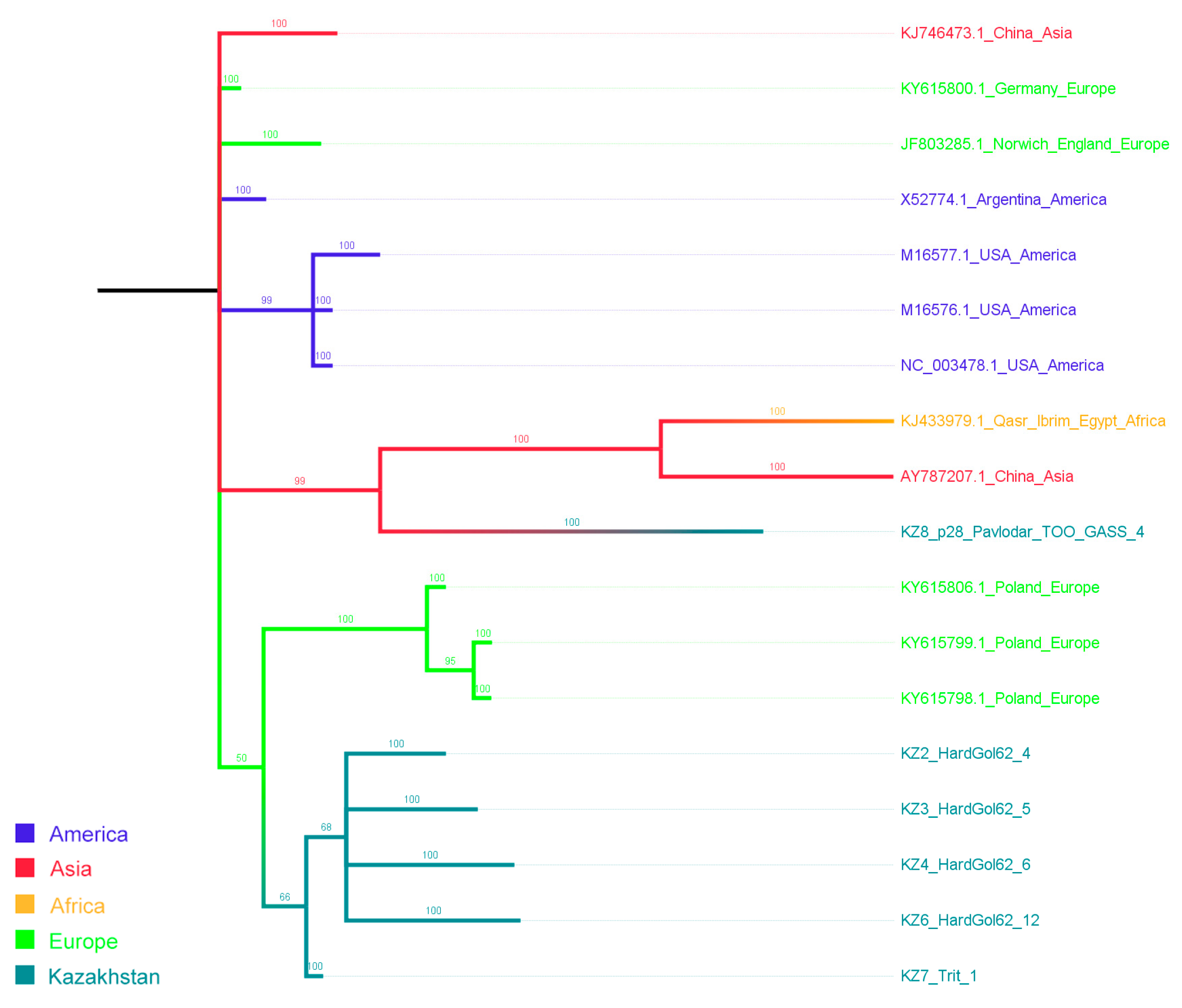 Viruses 16 00096 g005