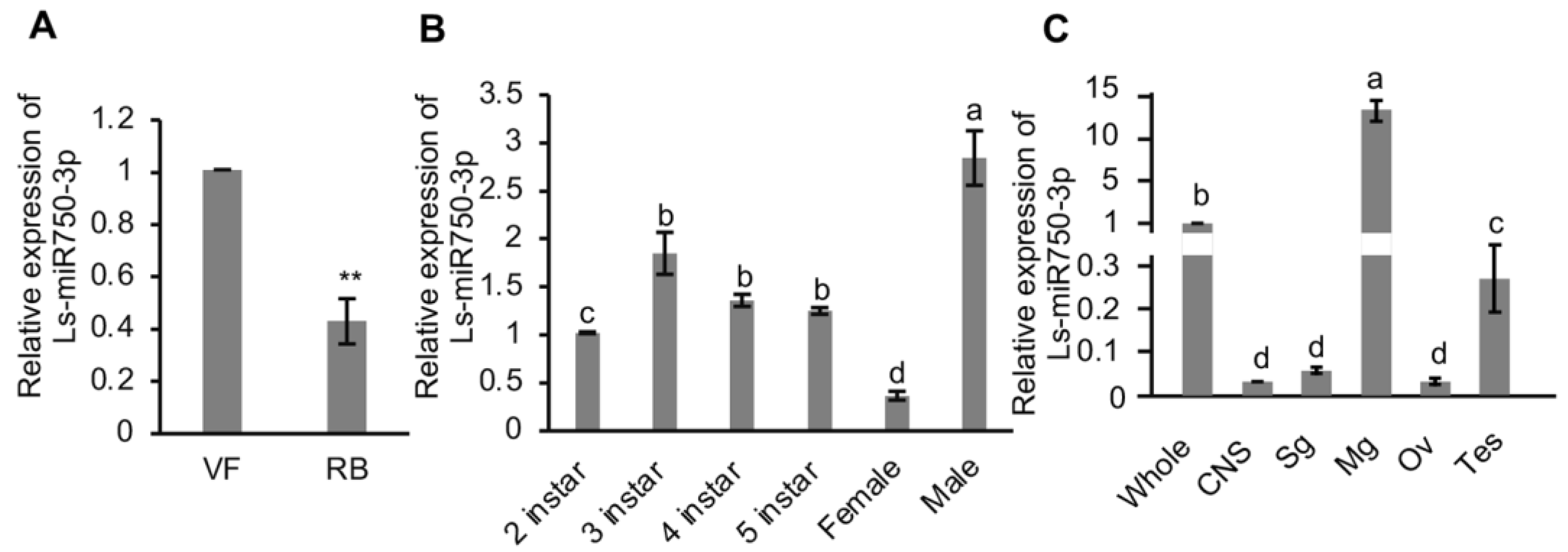 Viruses 16 00097 g001 Viruses 16 00097 g001