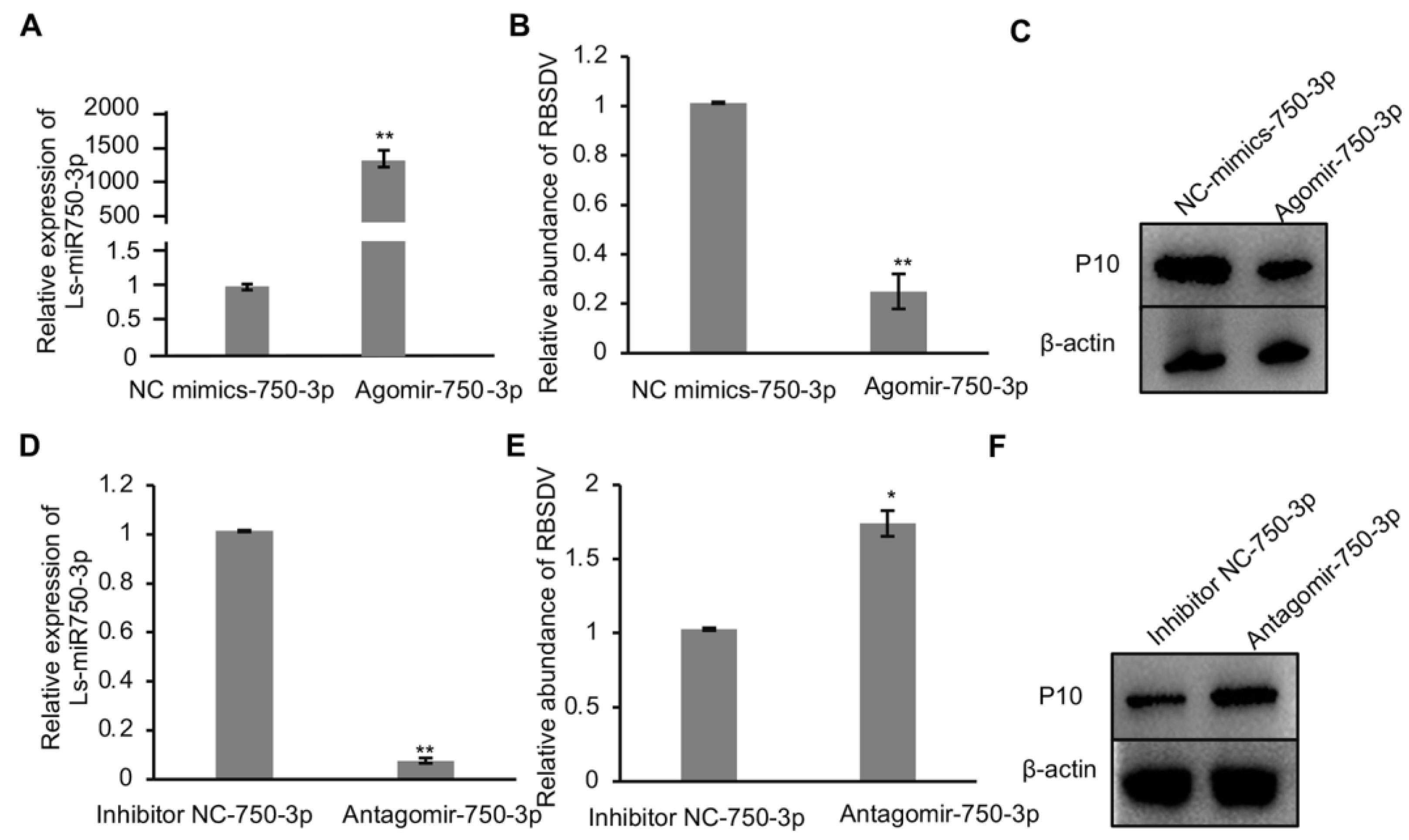 Viruses 16 00097 g002 Viruses 16 00097 g002