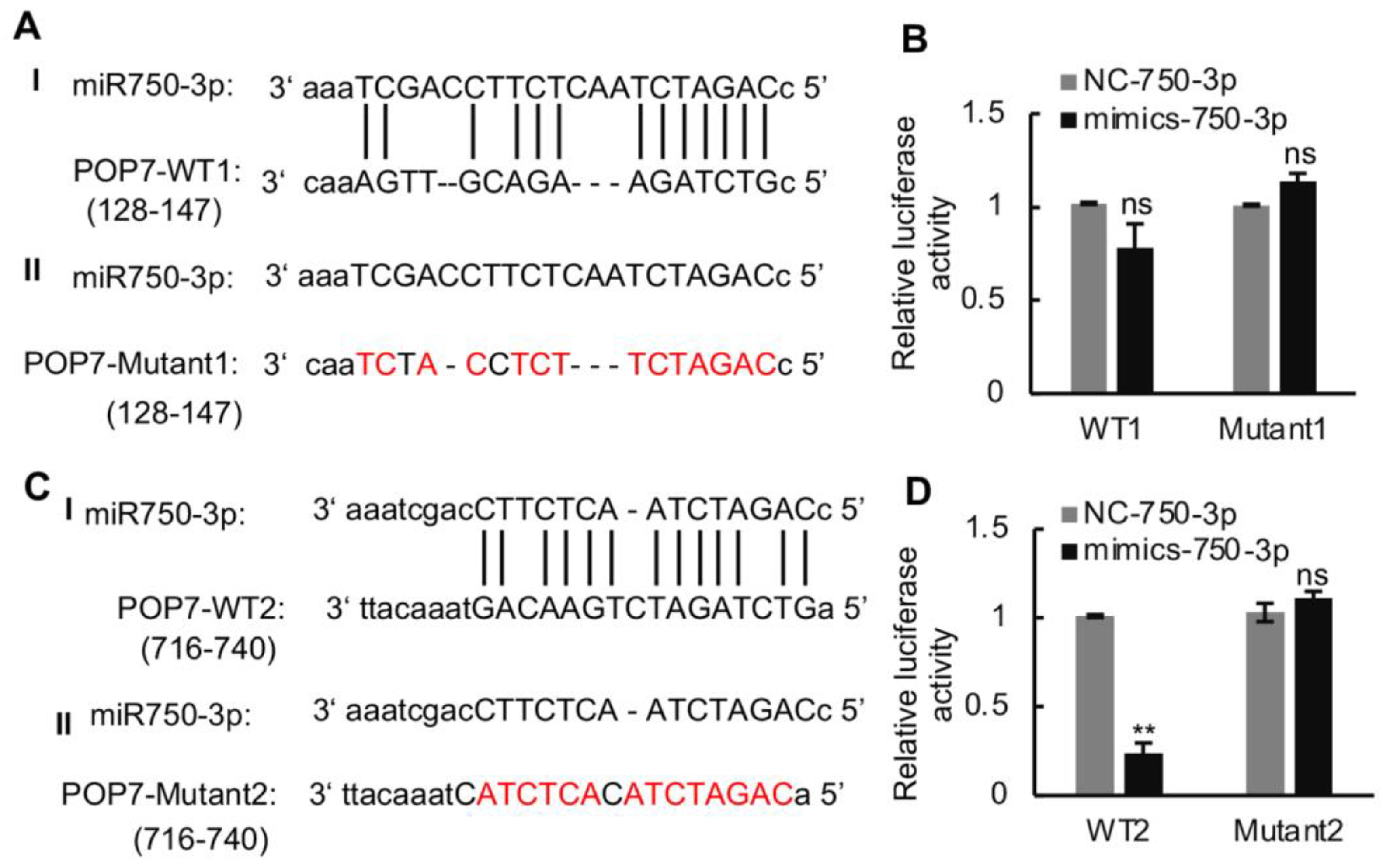 Viruses 16 00097 g004 Viruses 16 00097 g004