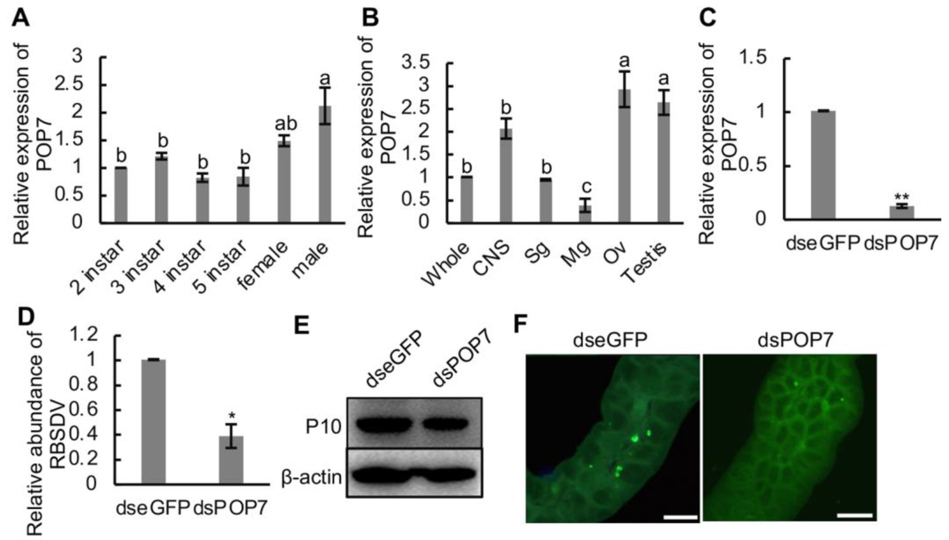 Viruses 16 00097 g005 Viruses 16 00097 g005