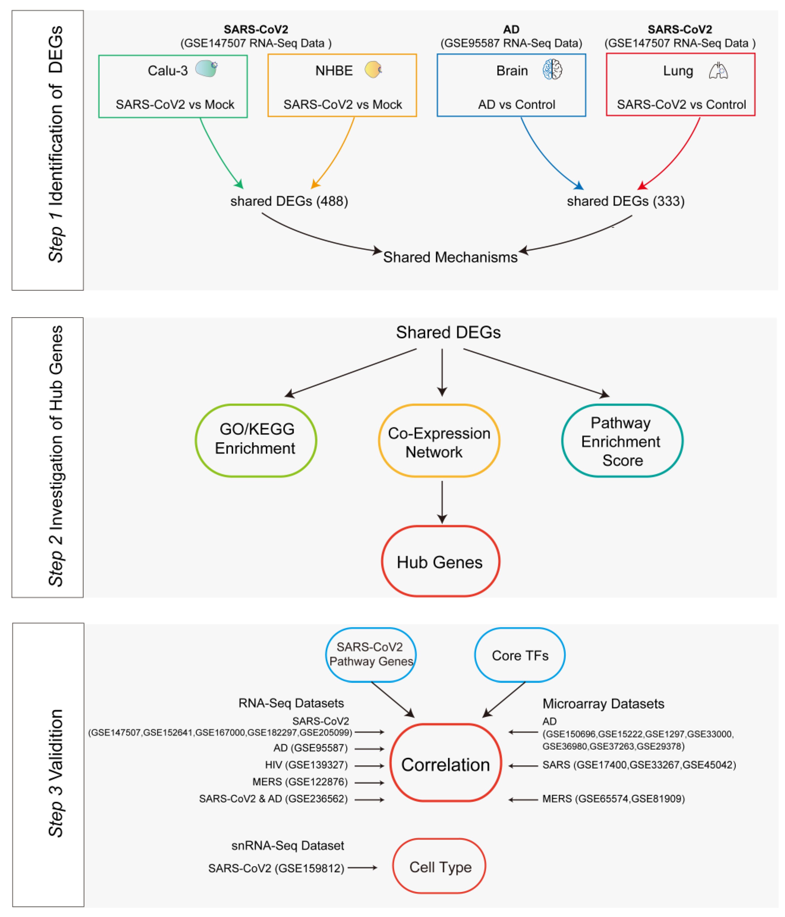 Viruses 16 00100 g001 Viruses 16 00100 g001