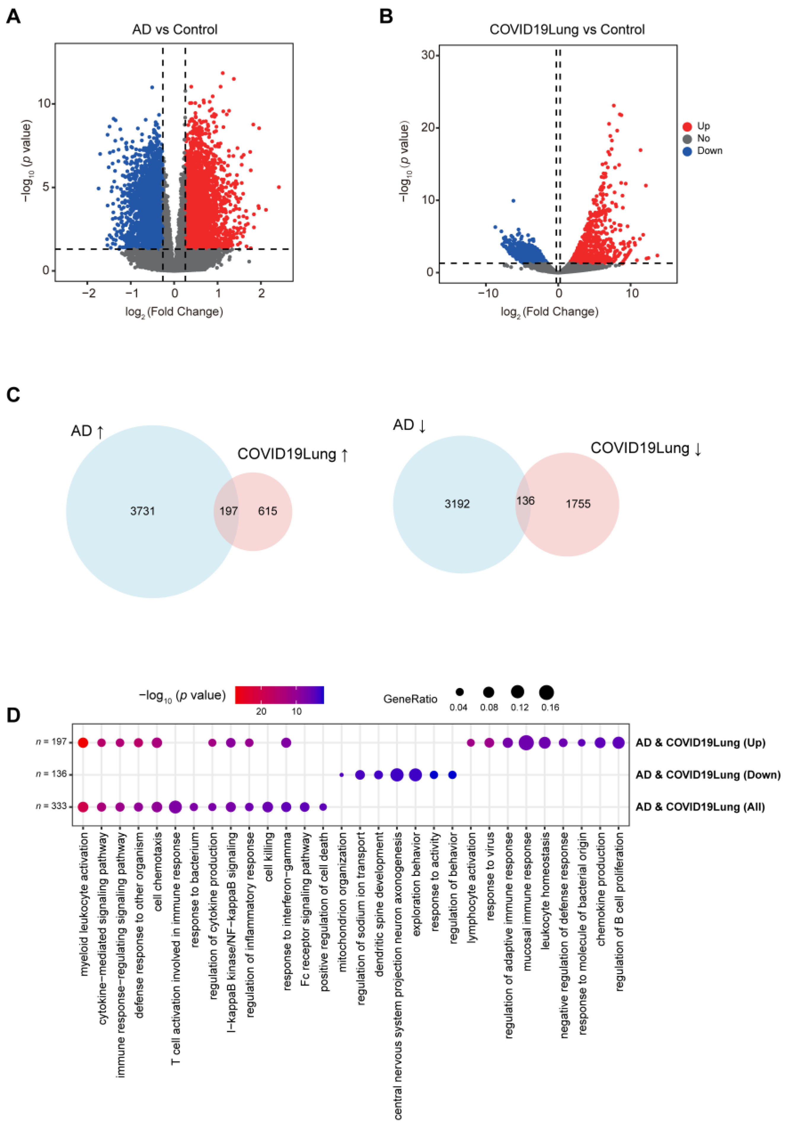 Viruses 16 00100 g002 Viruses 16 00100 g002