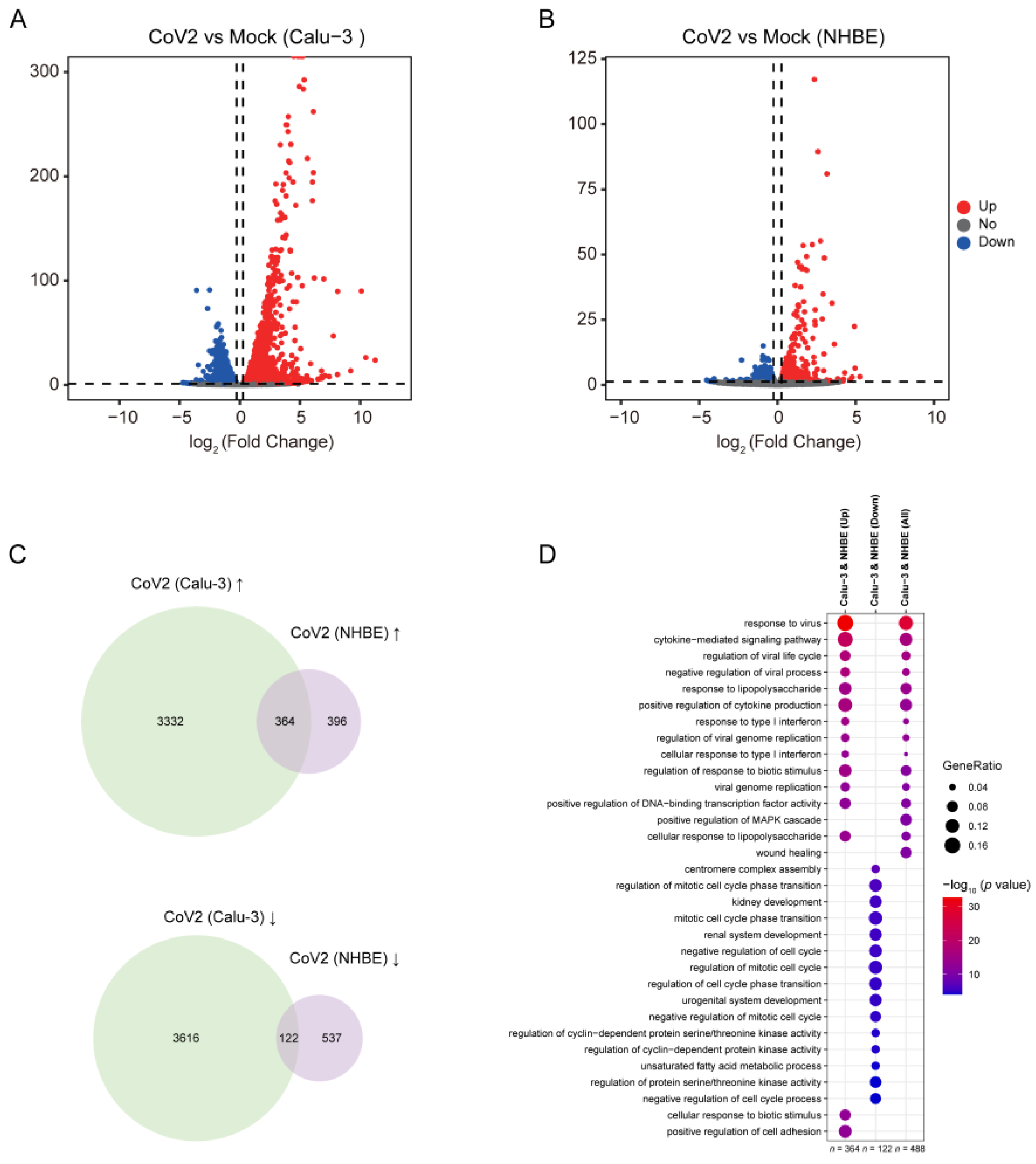 Viruses 16 00100 g003 Viruses 16 00100 g003
