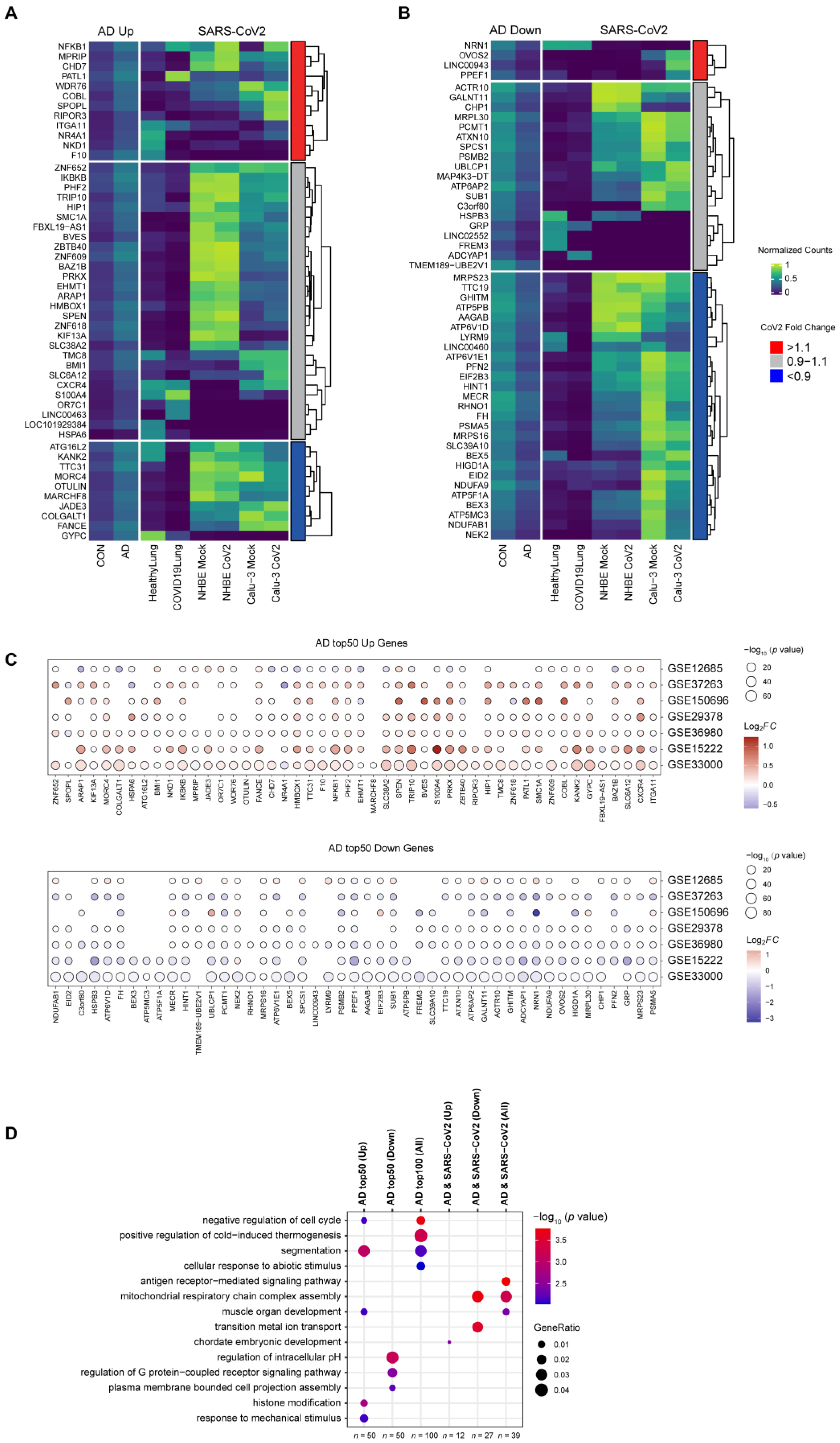 Viruses 16 00100 g004 Viruses 16 00100 g004