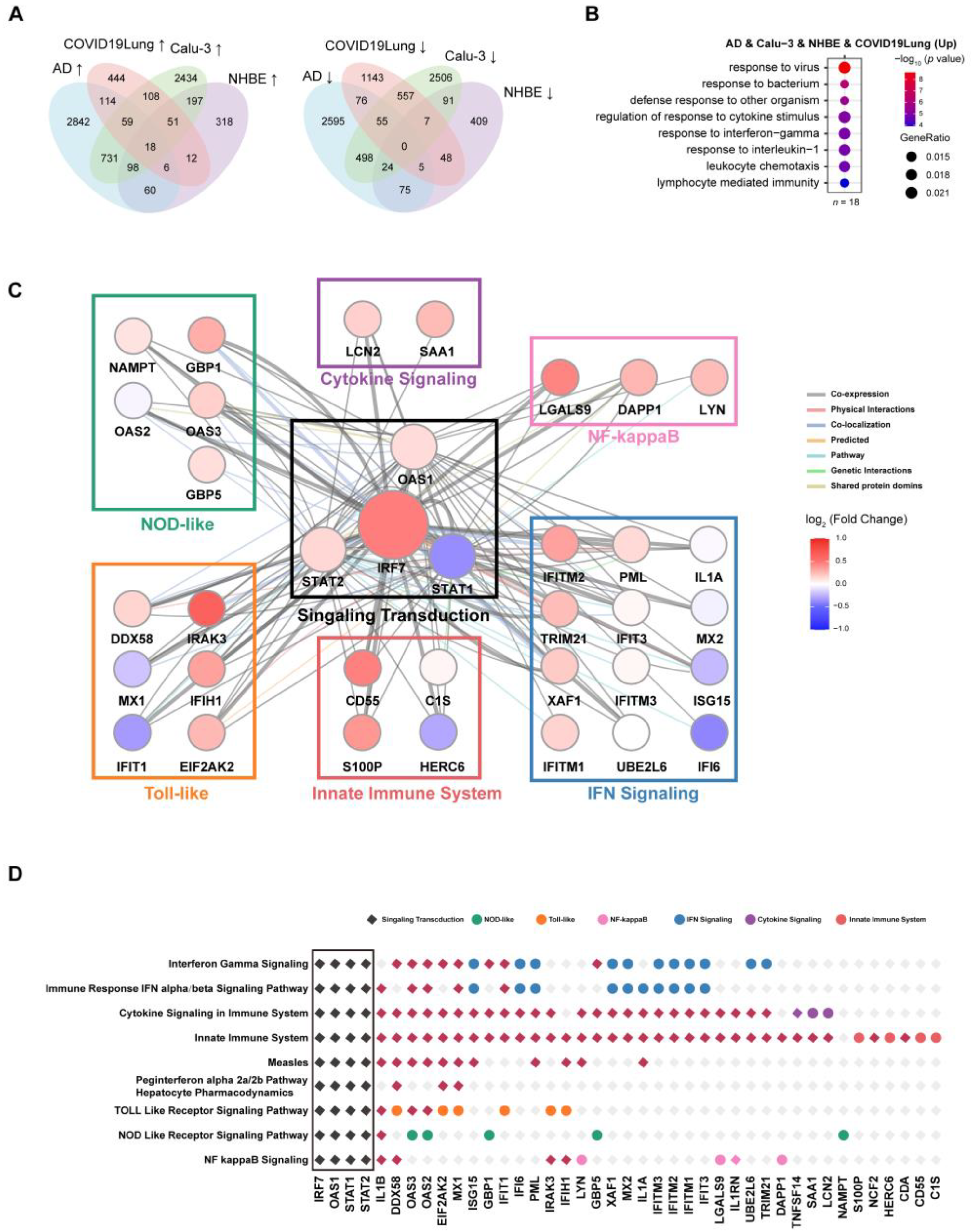 Viruses 16 00100 g006 Viruses 16 00100 g006