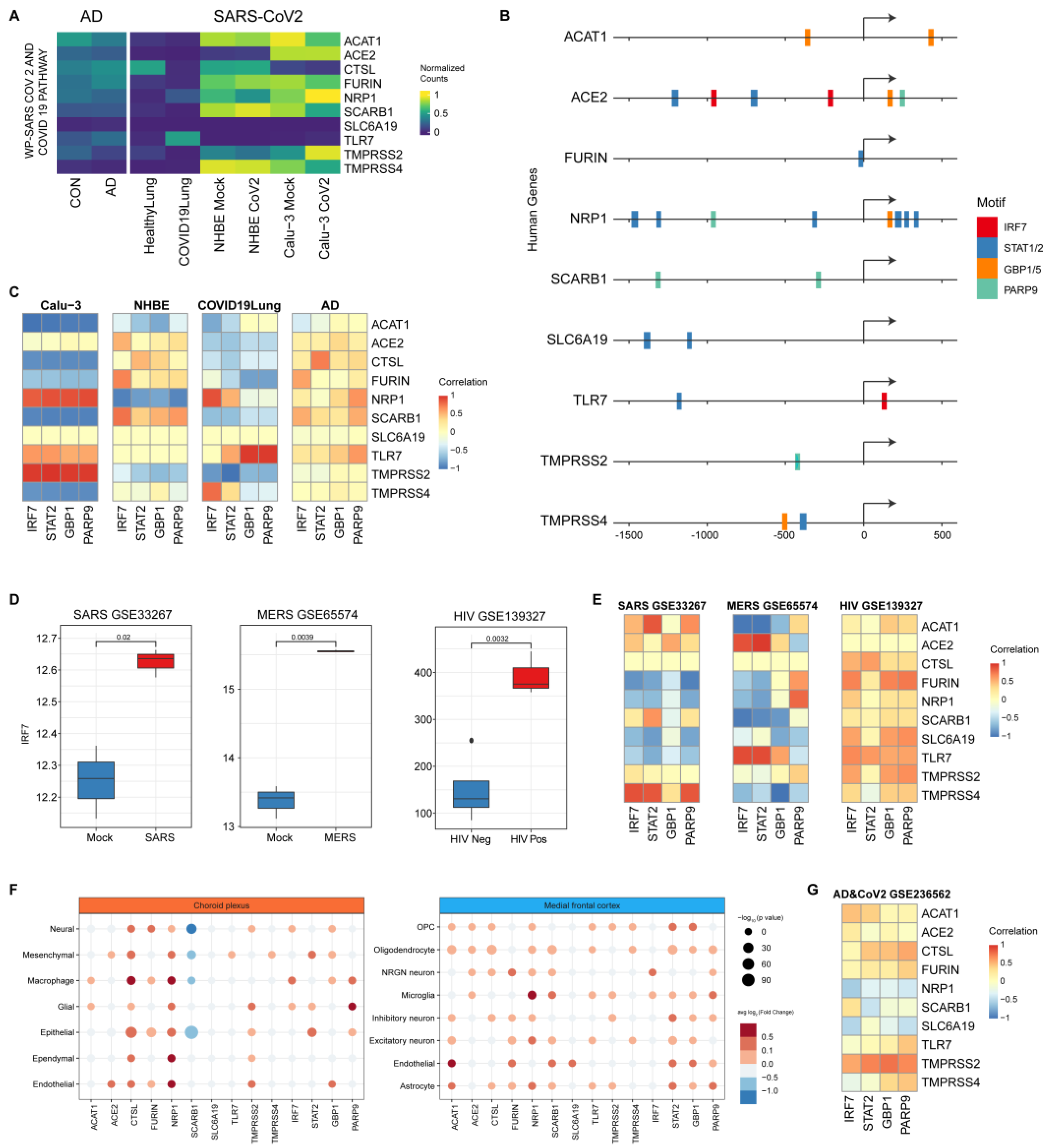 Viruses 16 00100 g007 Viruses 16 00100 g007